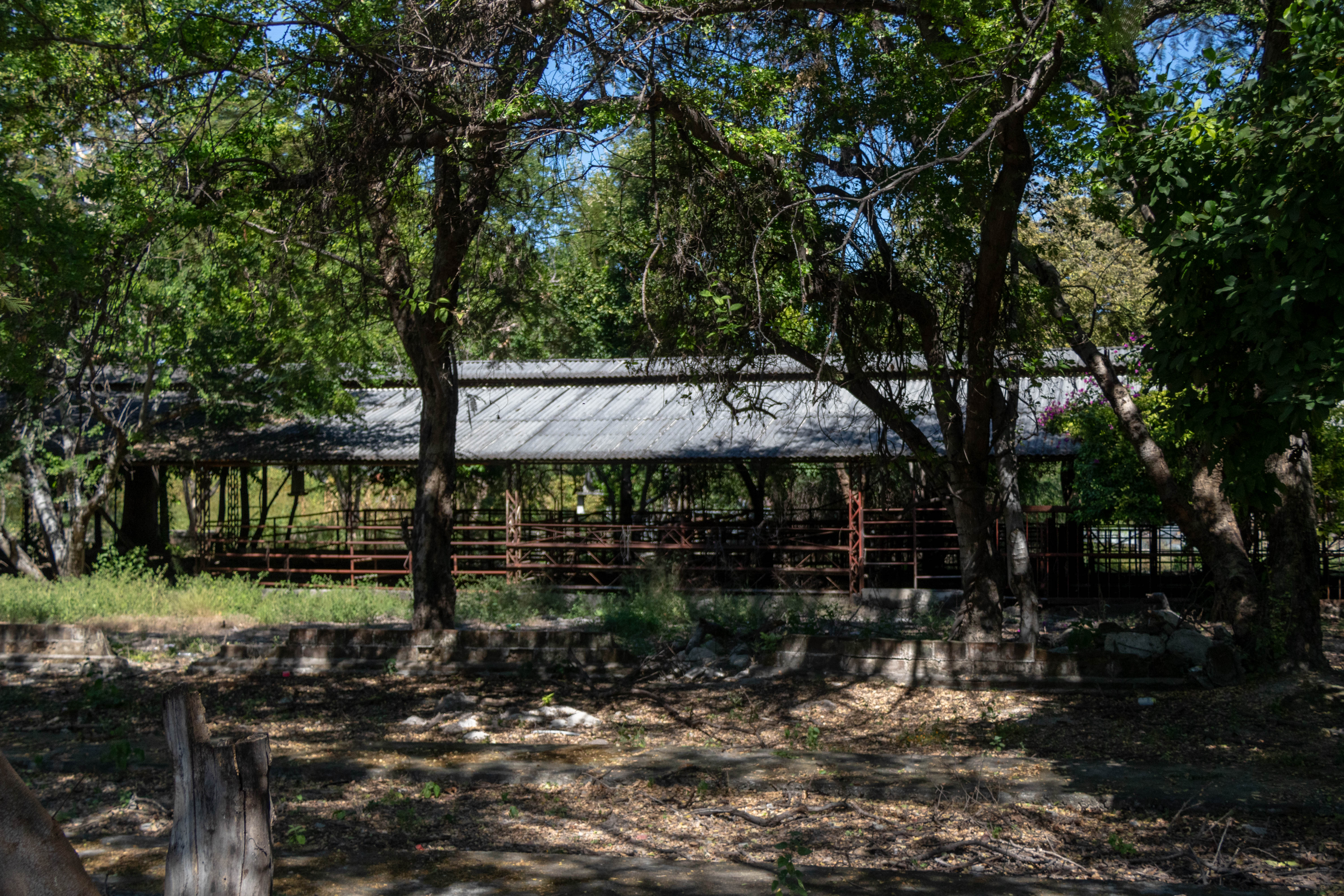Mezcalería Sagrado Agave