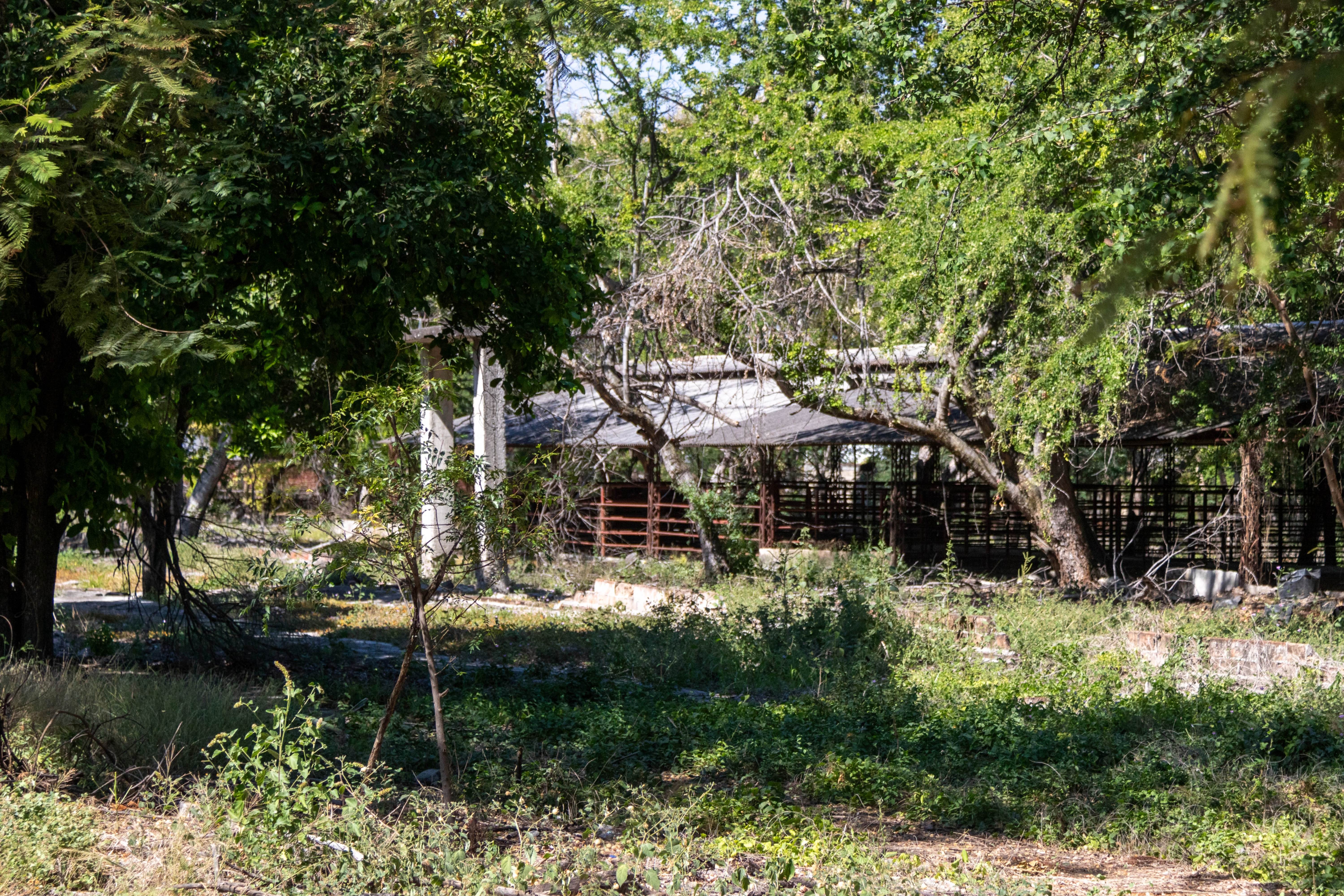 Mezcalería Sagrado Agave