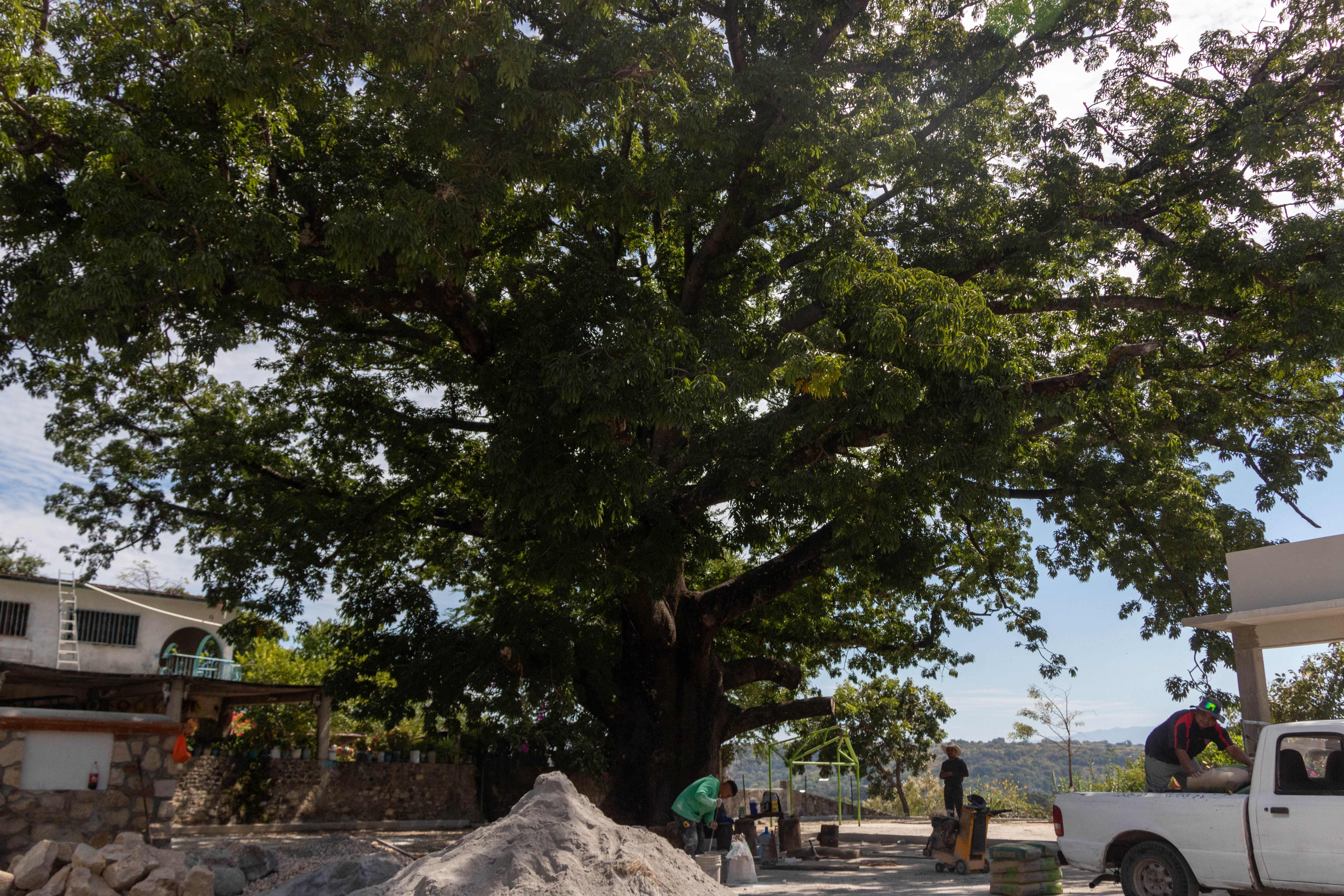Calles Cuauchichinola