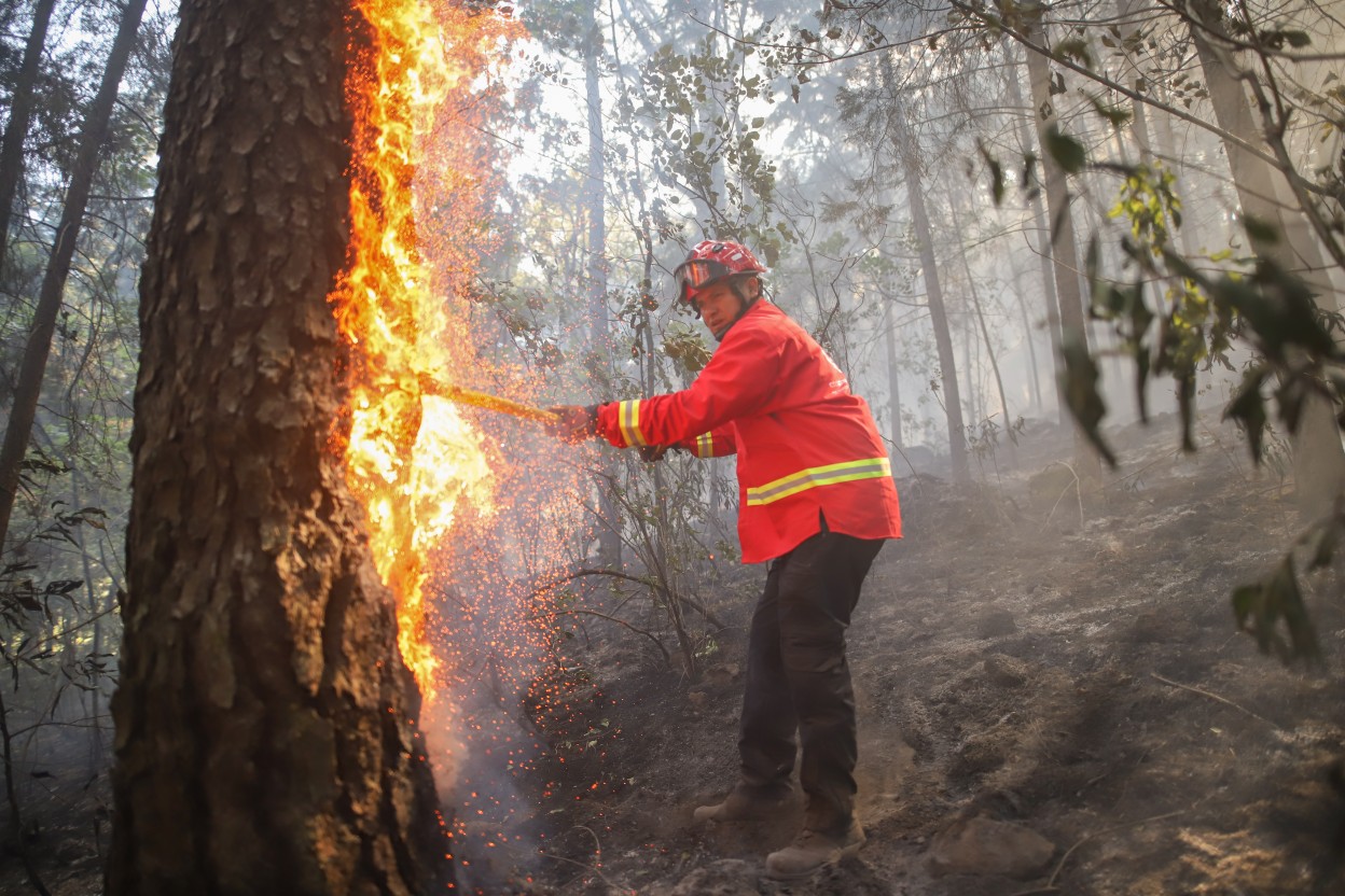 Atiende CEPCM incendio forestal en zona norte de Cuernavaca