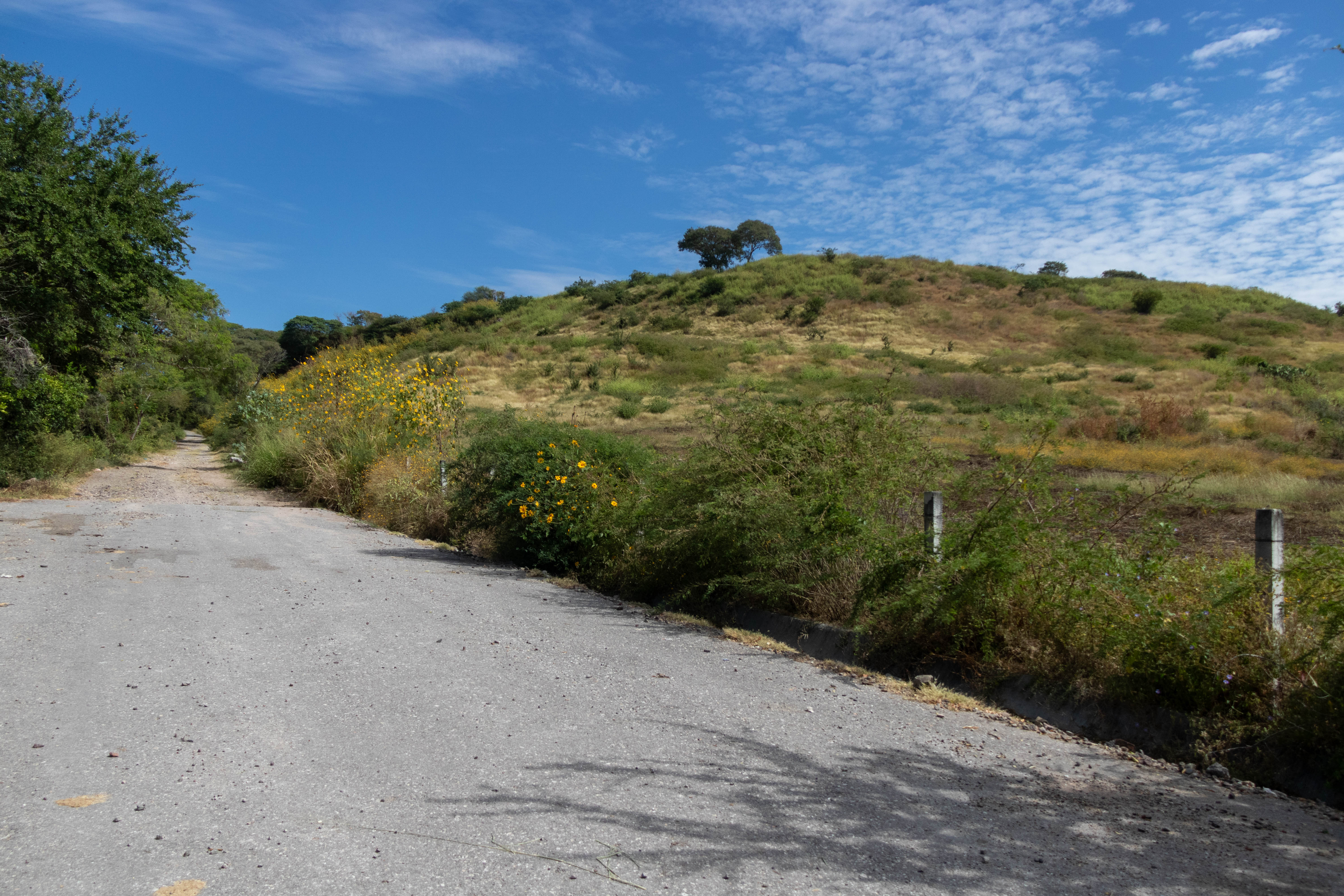 Camino Lindero de los Clavellinos