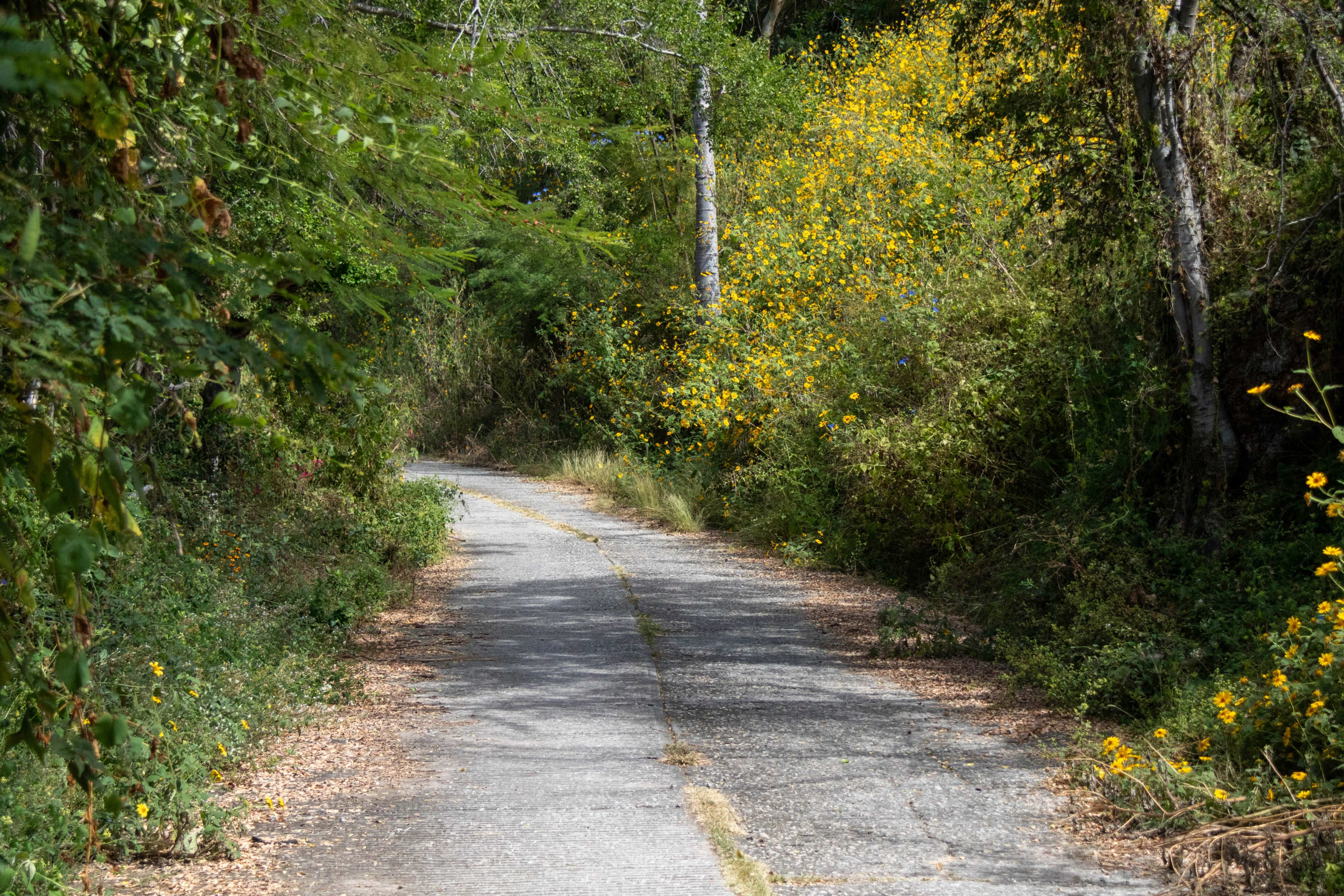 Camino Lindero de los Clavellinos