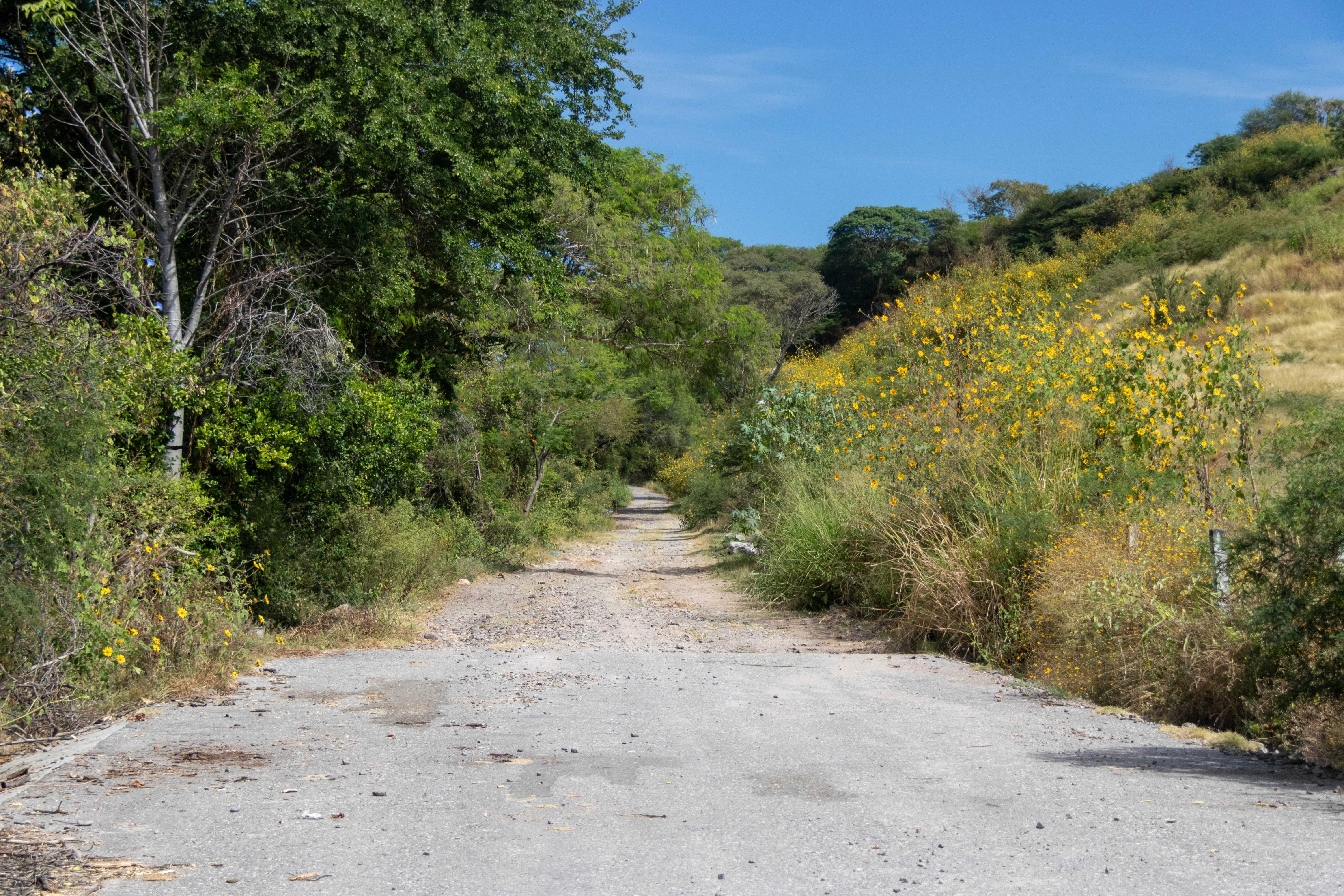 Camino Lindero de los Clavellinos
