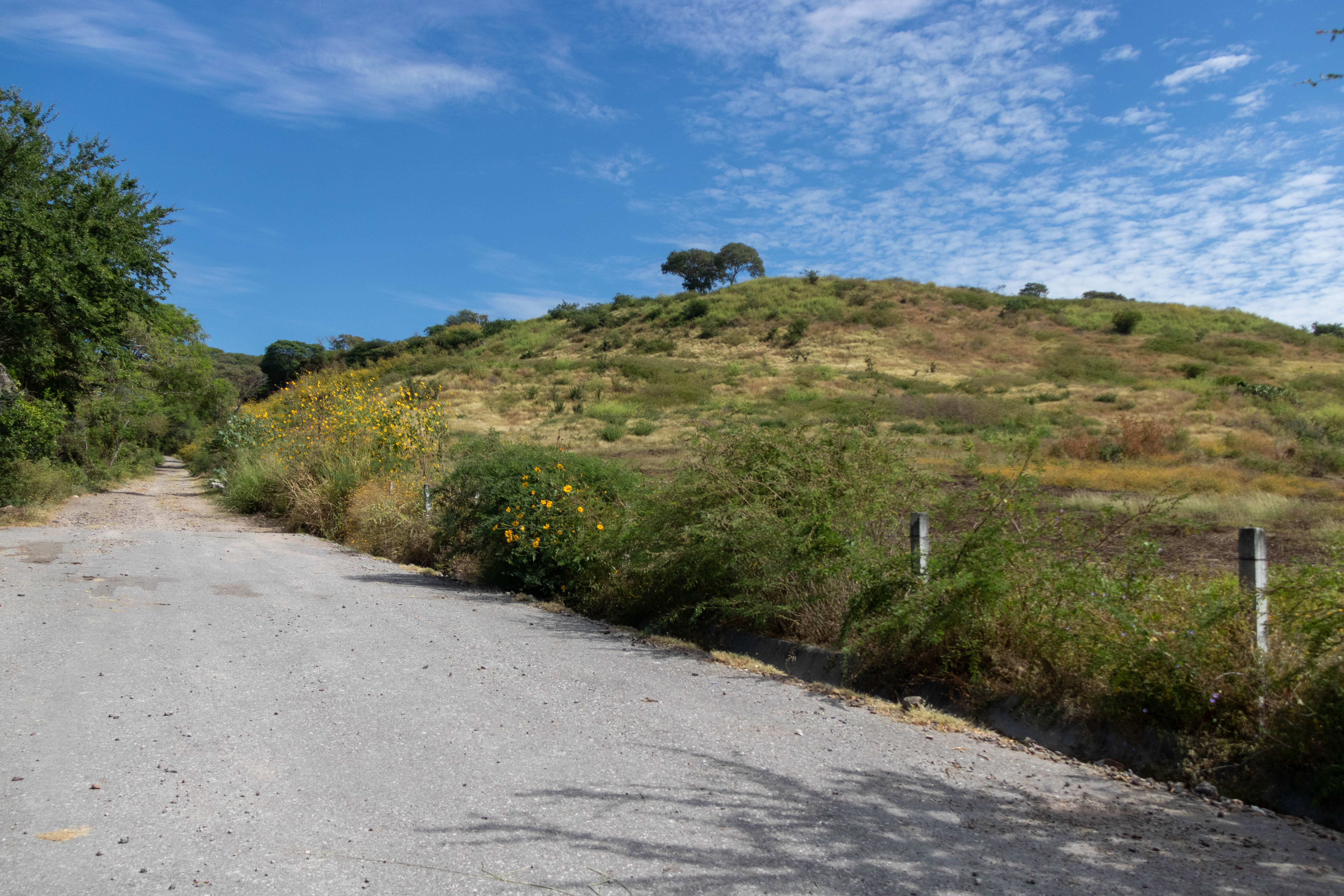 Camino Lindero de los Clavellinos