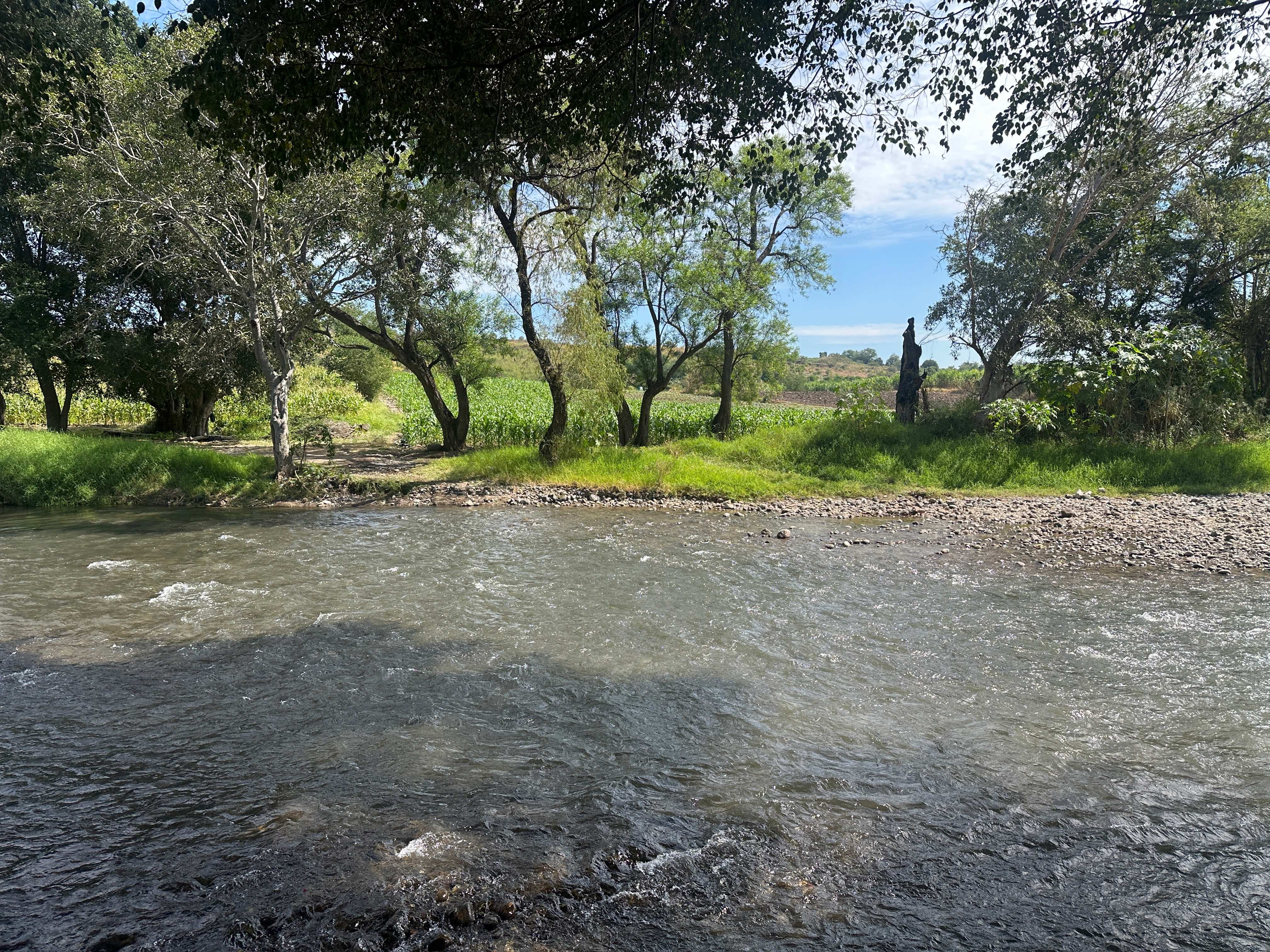 Puente Cuauchichinola