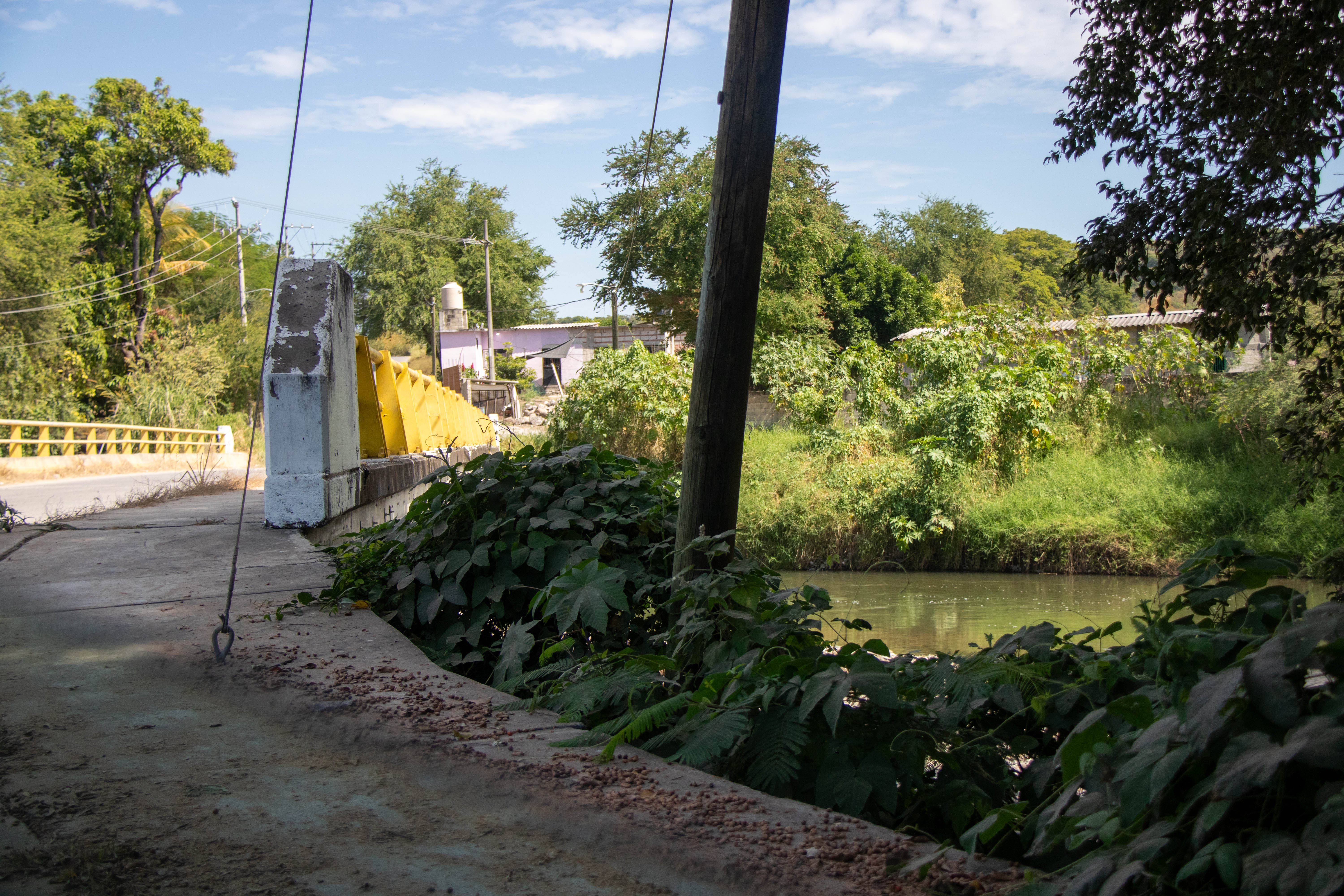 Puente Cuauchichinola