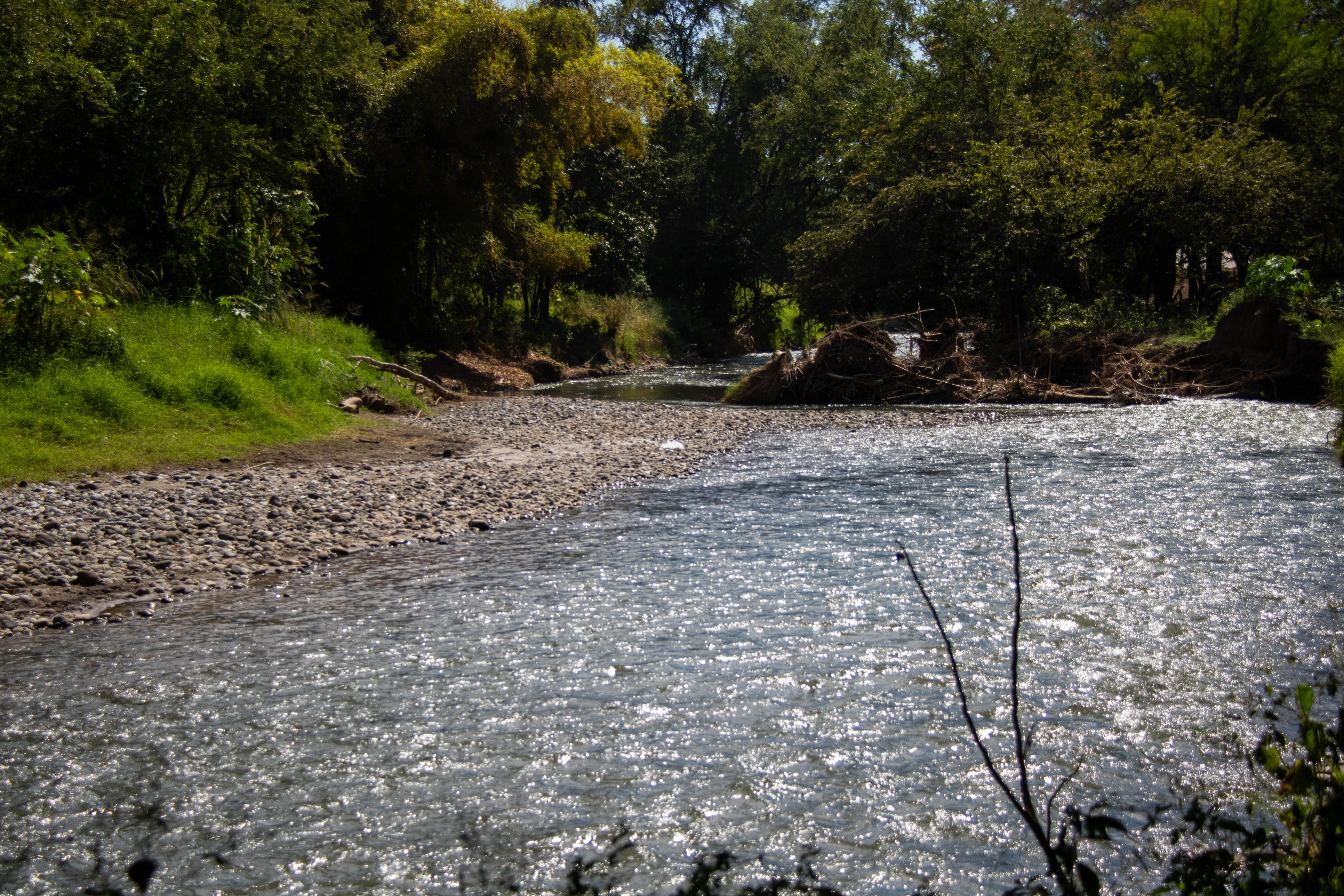Puente Cuauchichinola