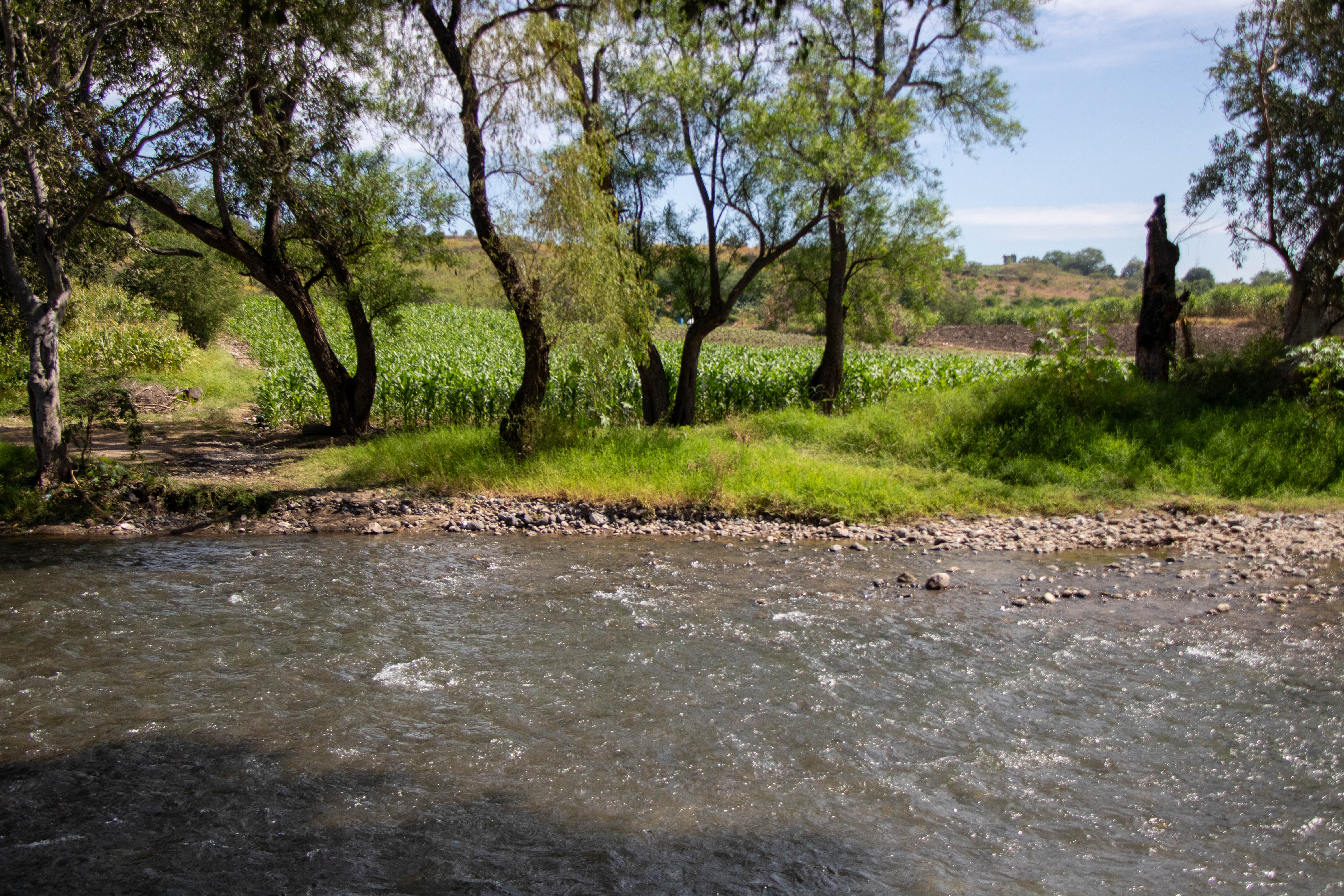 Puente Cuauchichinola