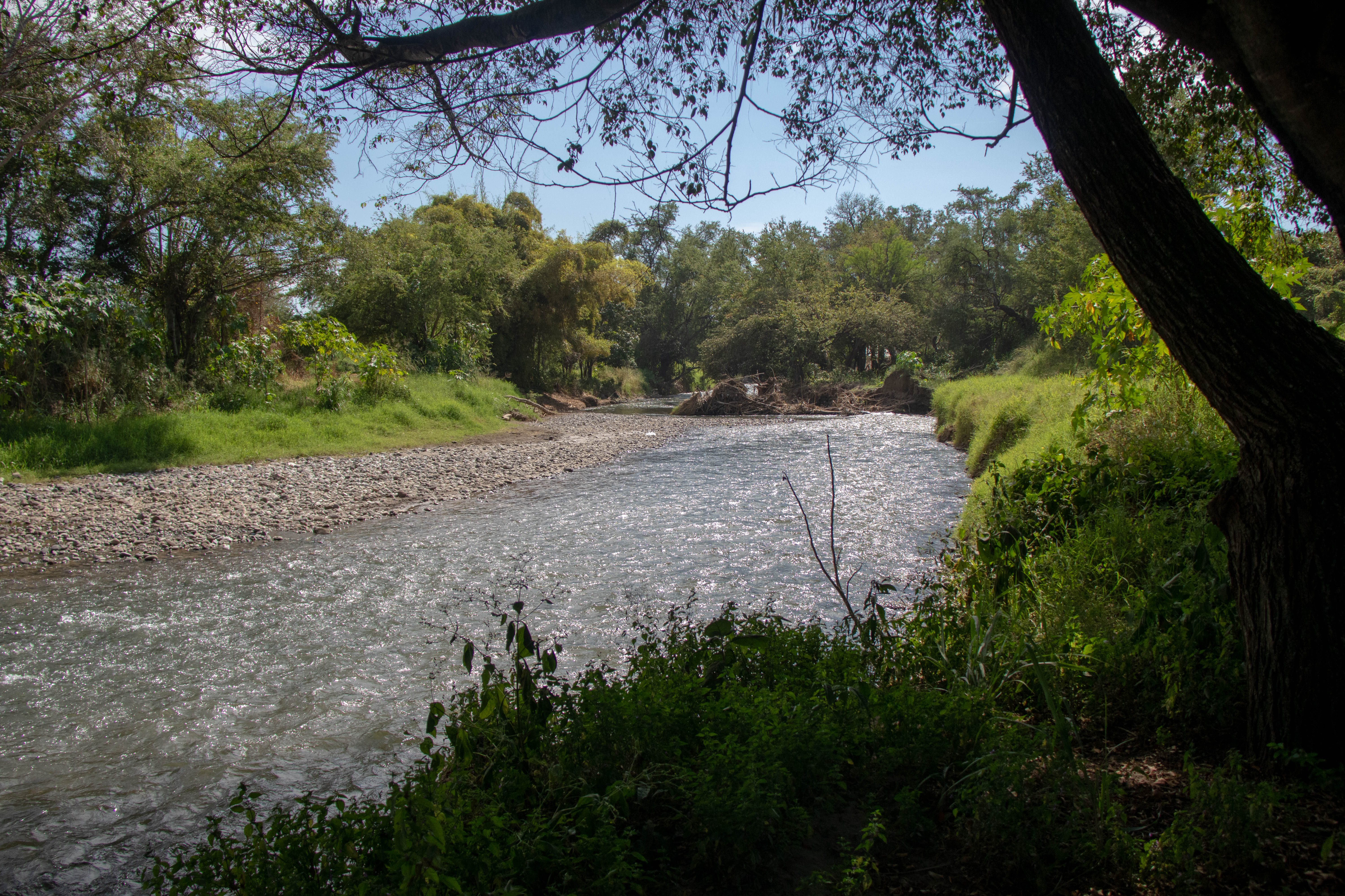 Puente Cuauchichinola