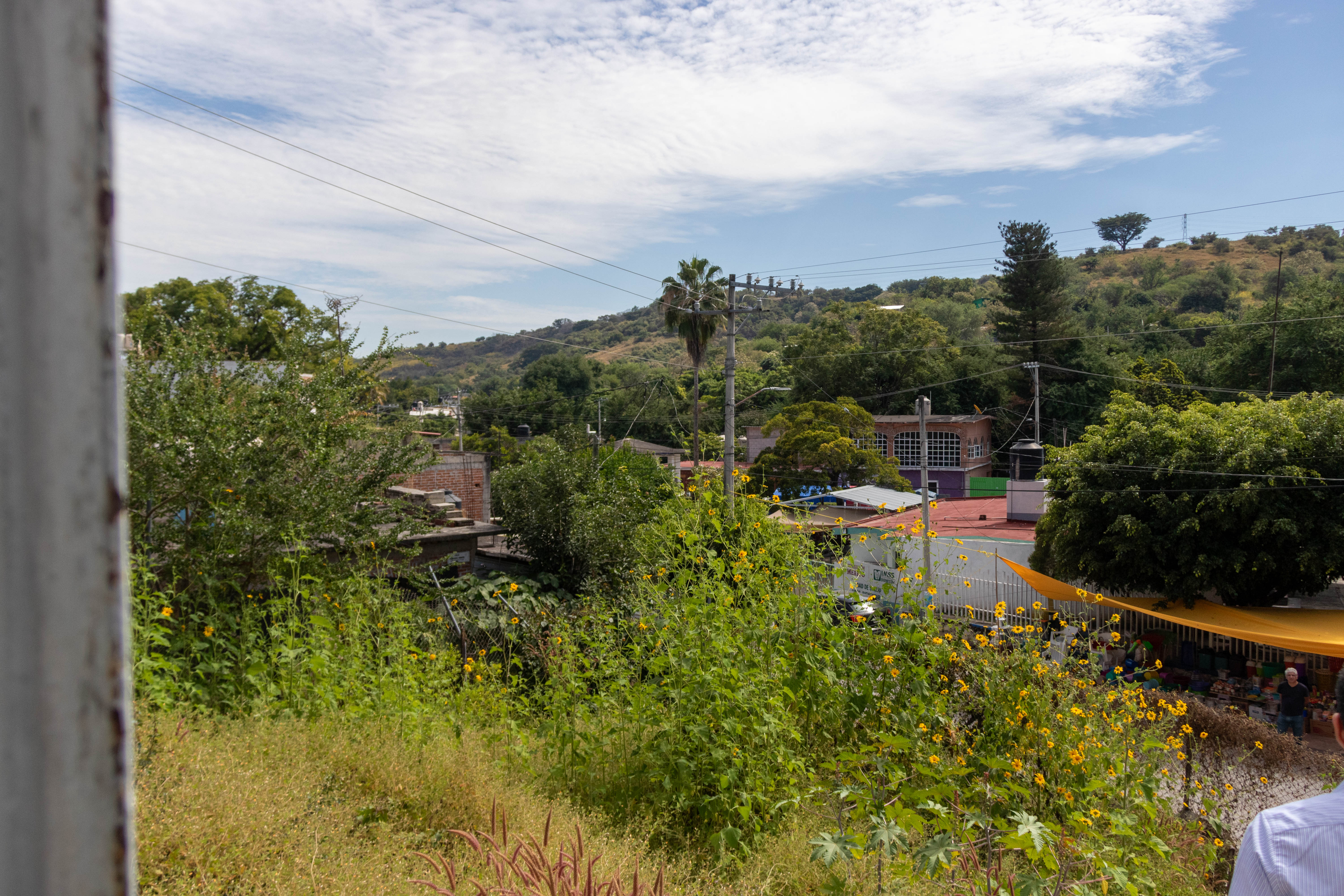 Escuela Cuauchichinola
