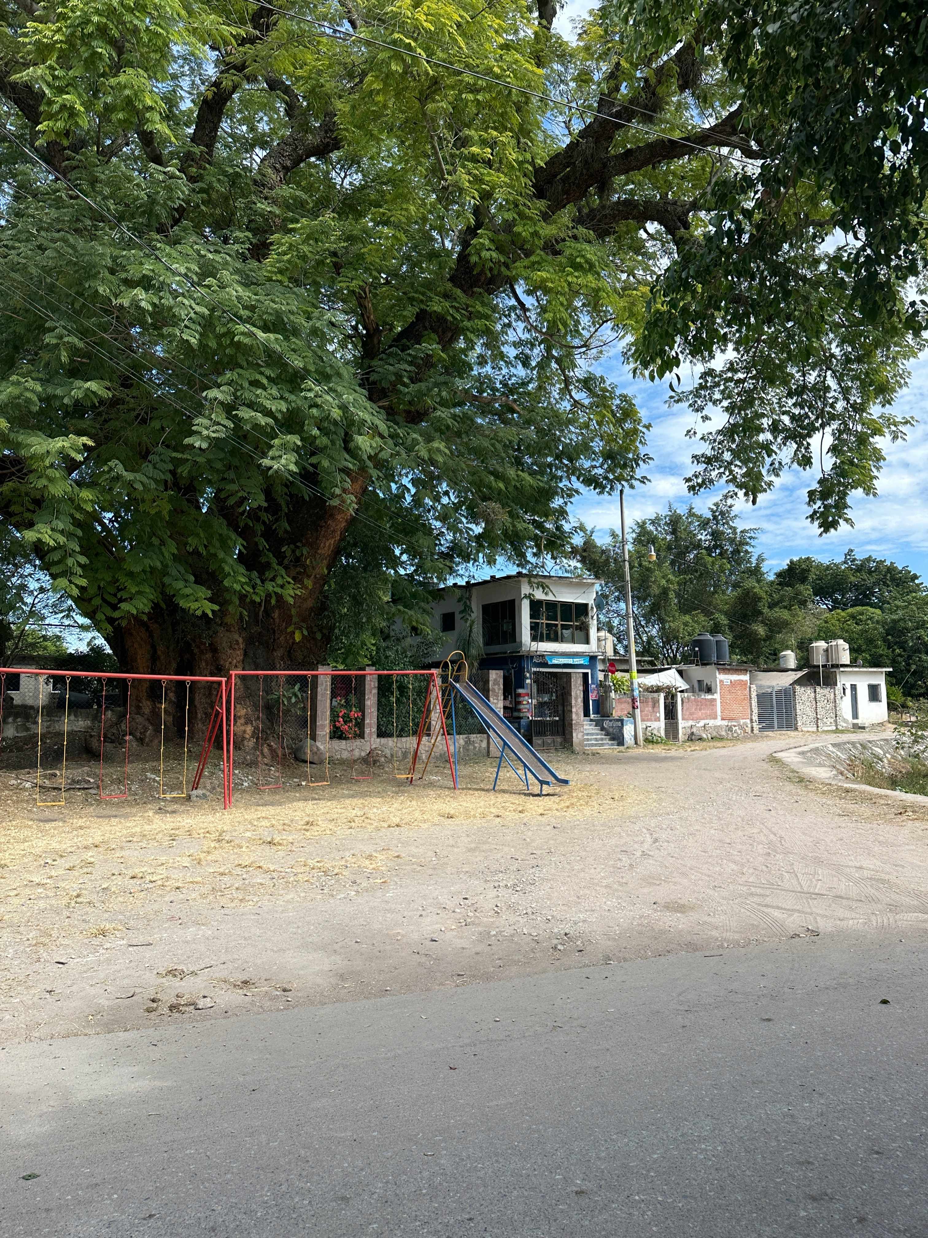 Parota Cuauchichinola