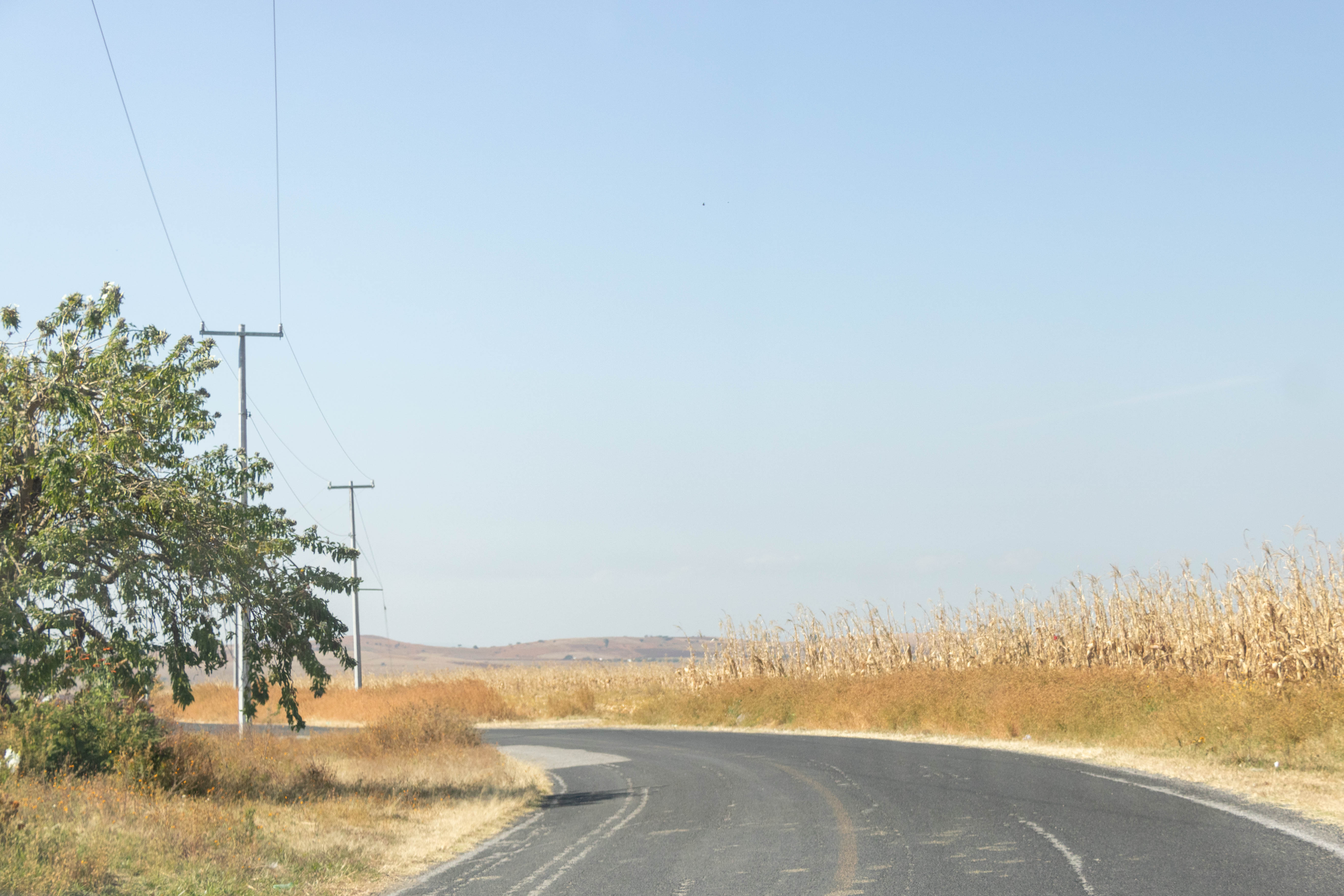 Camino a Ejido Cruz de Lima