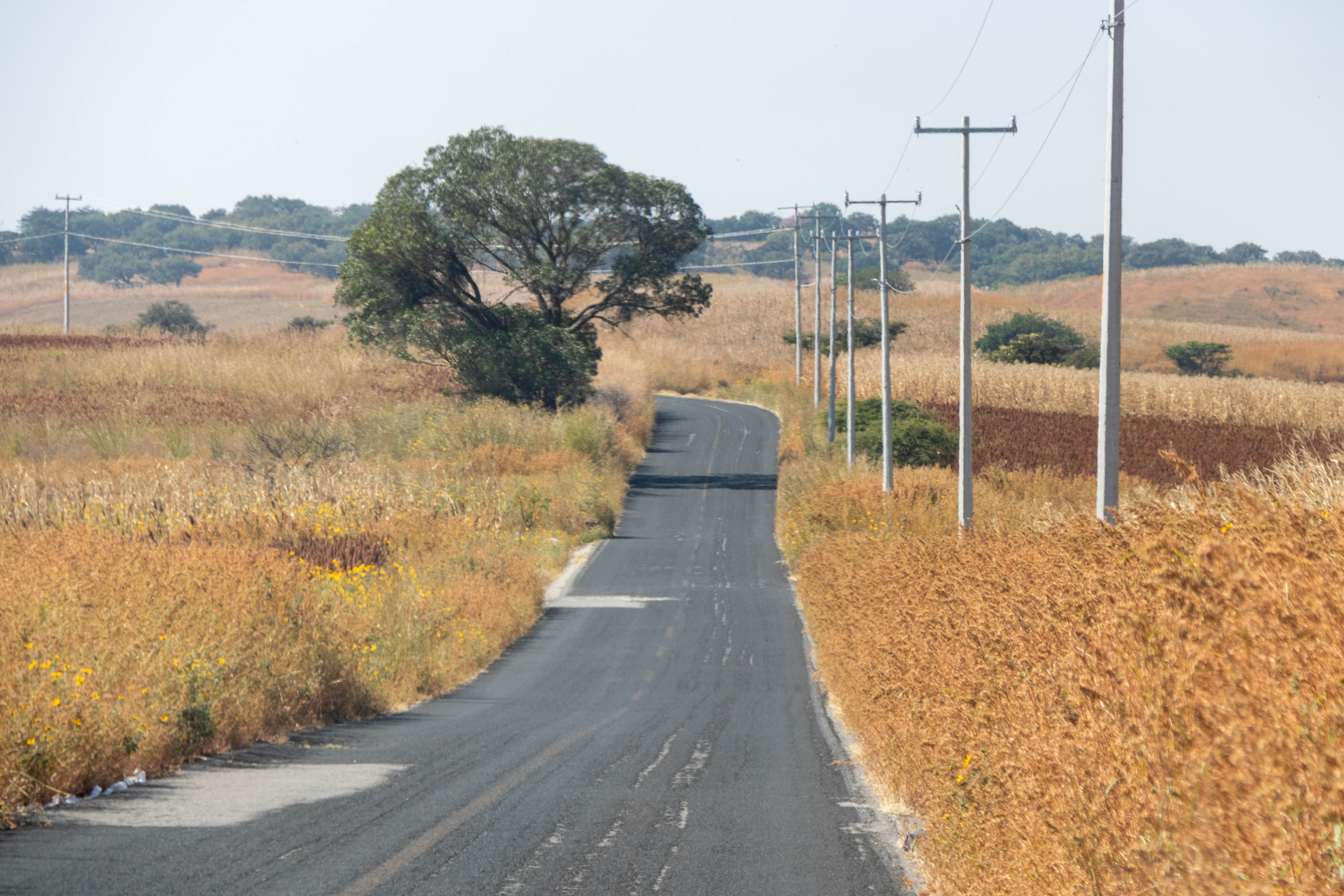 Camino a Ejido Cruz de Lima