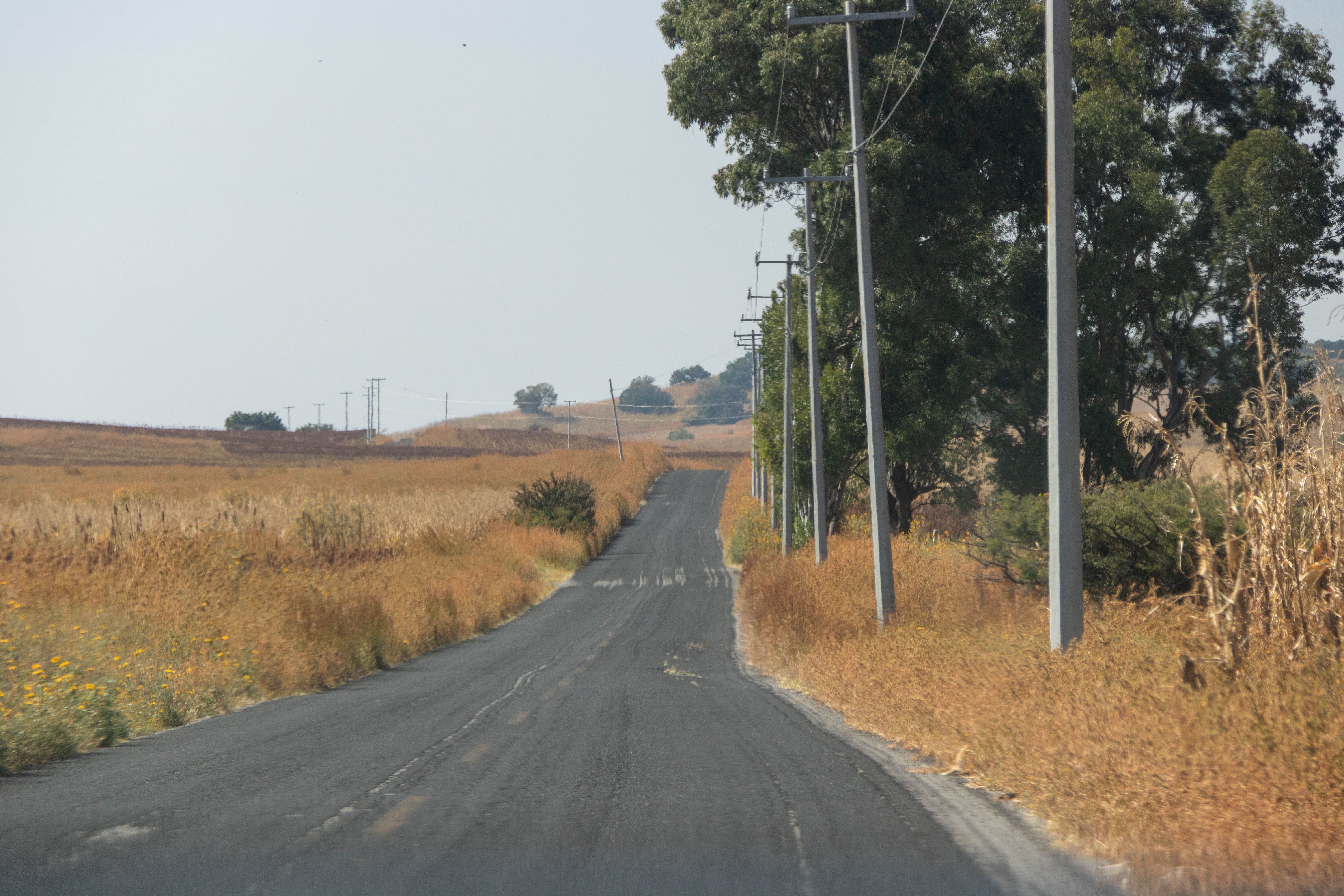 Camino a Ejido Cruz de Lima