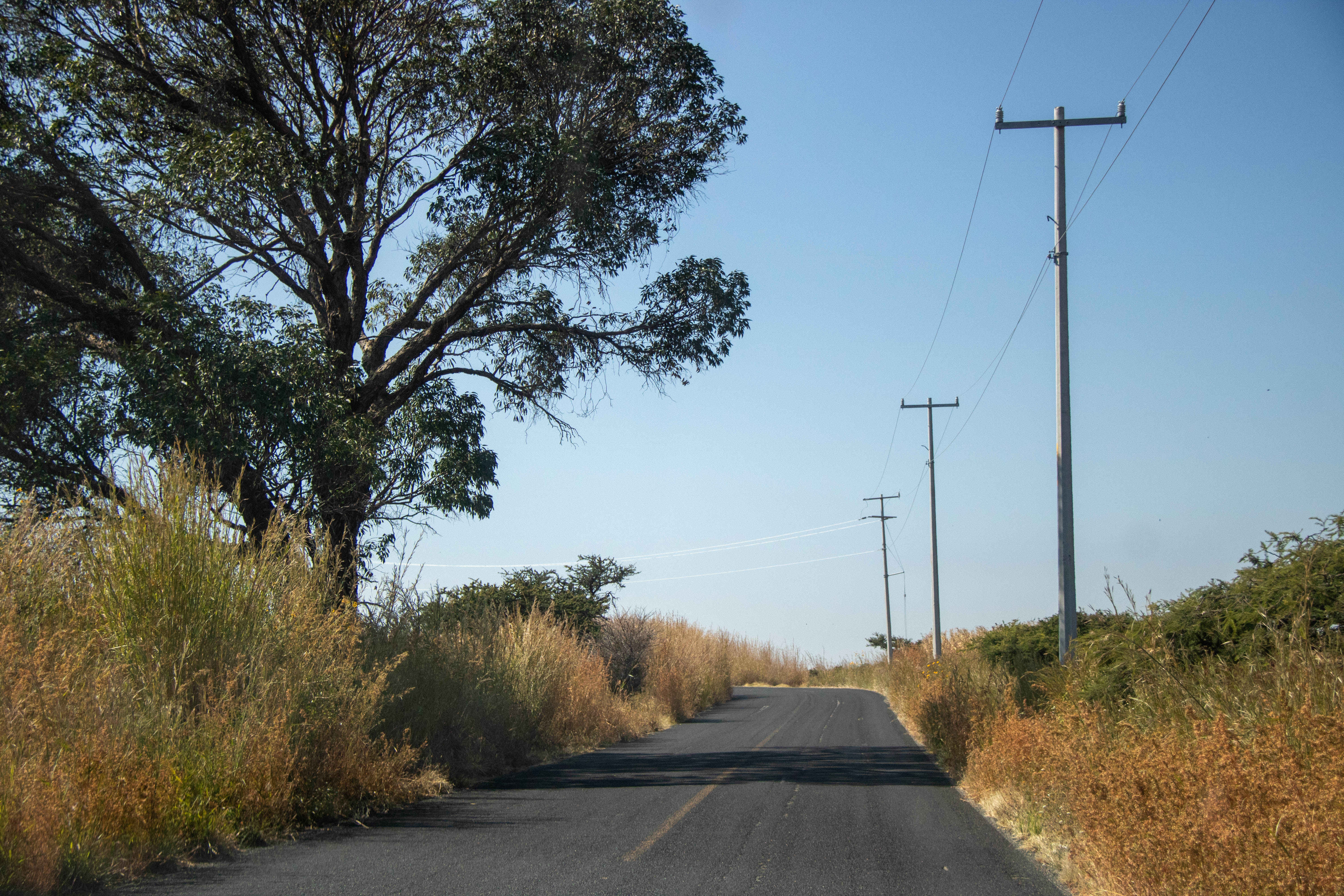 Camino a Ejido Cruz de Lima