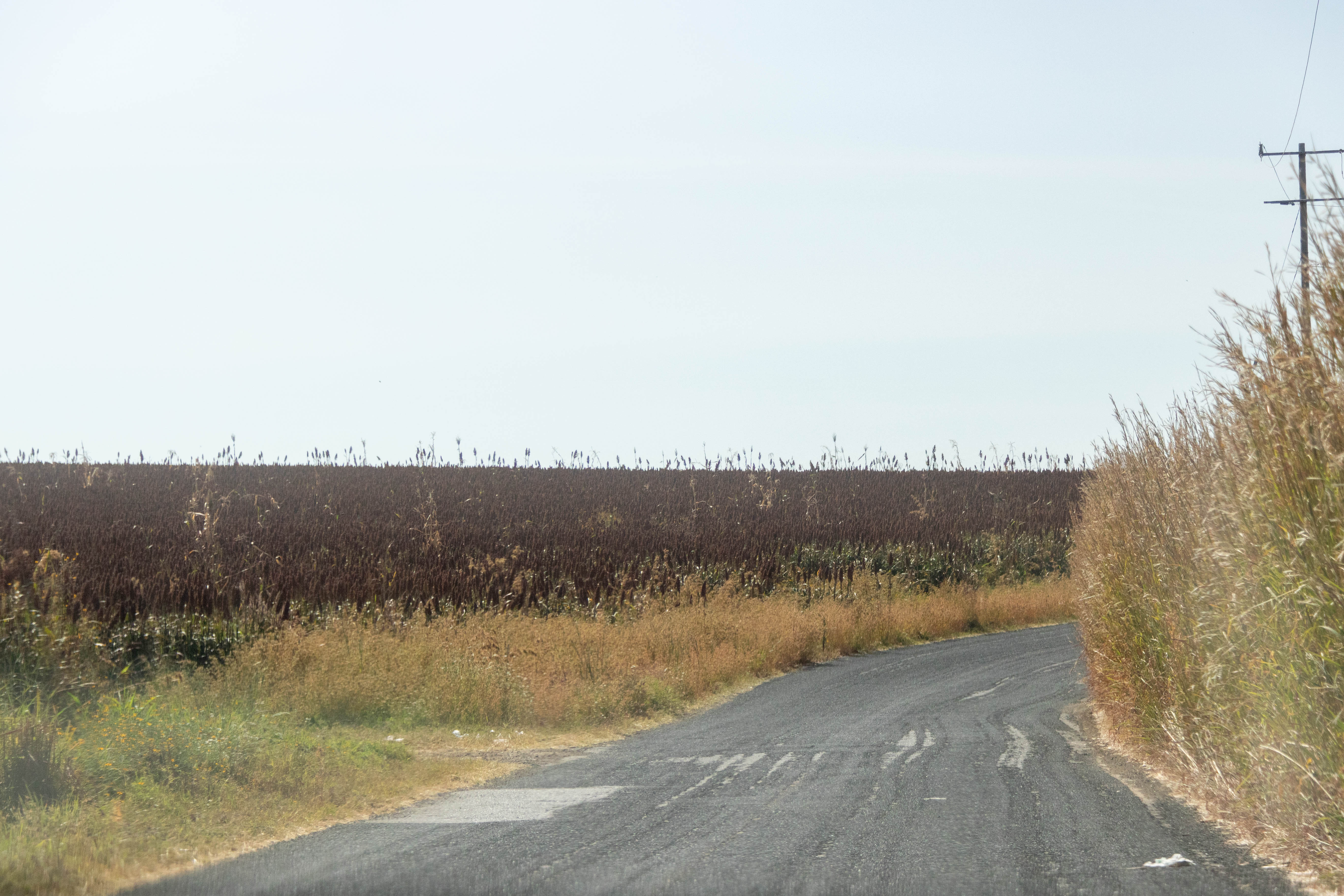 Camino a Ejido Cruz de Lima