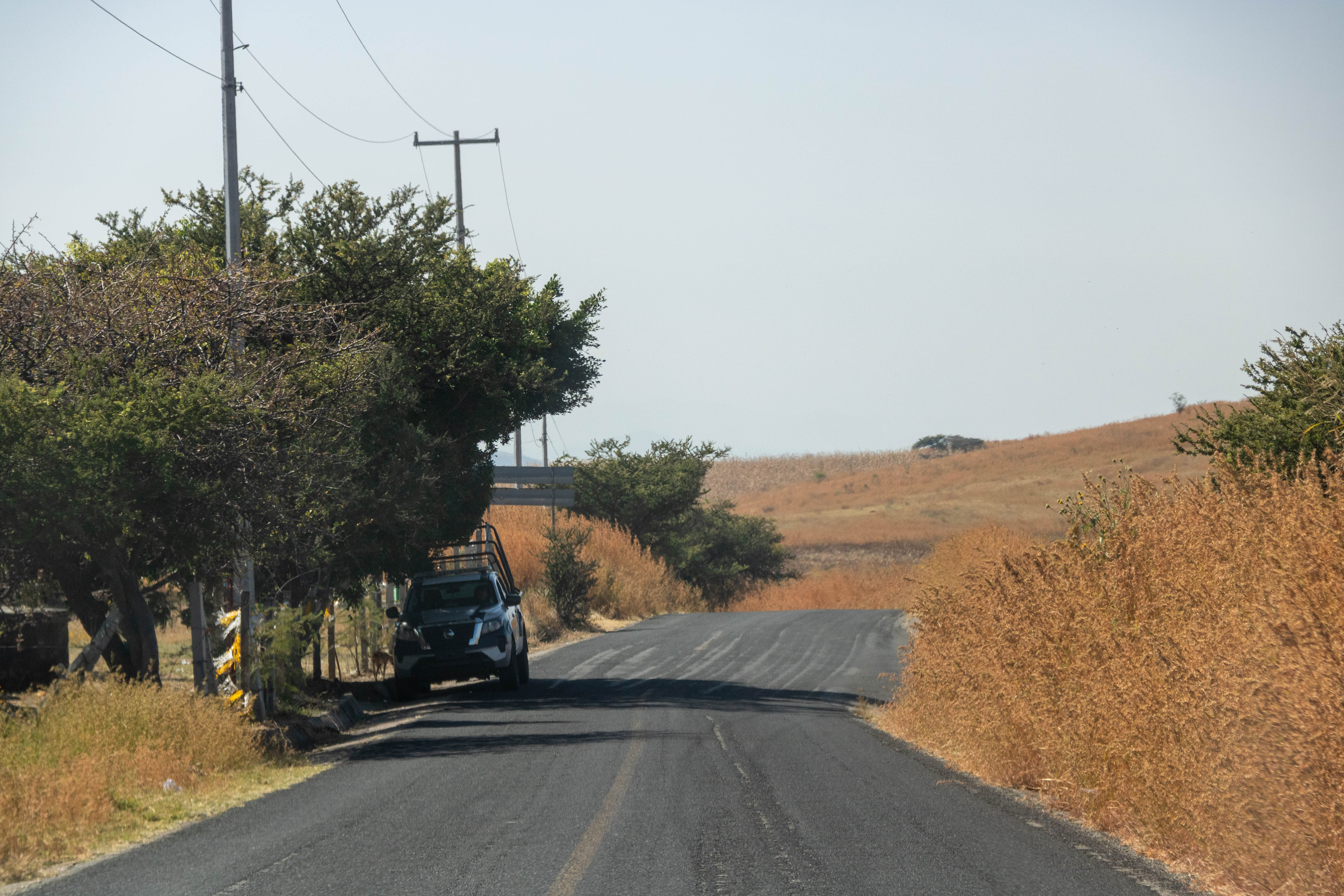 Camino a Ejido Cruz de Lima