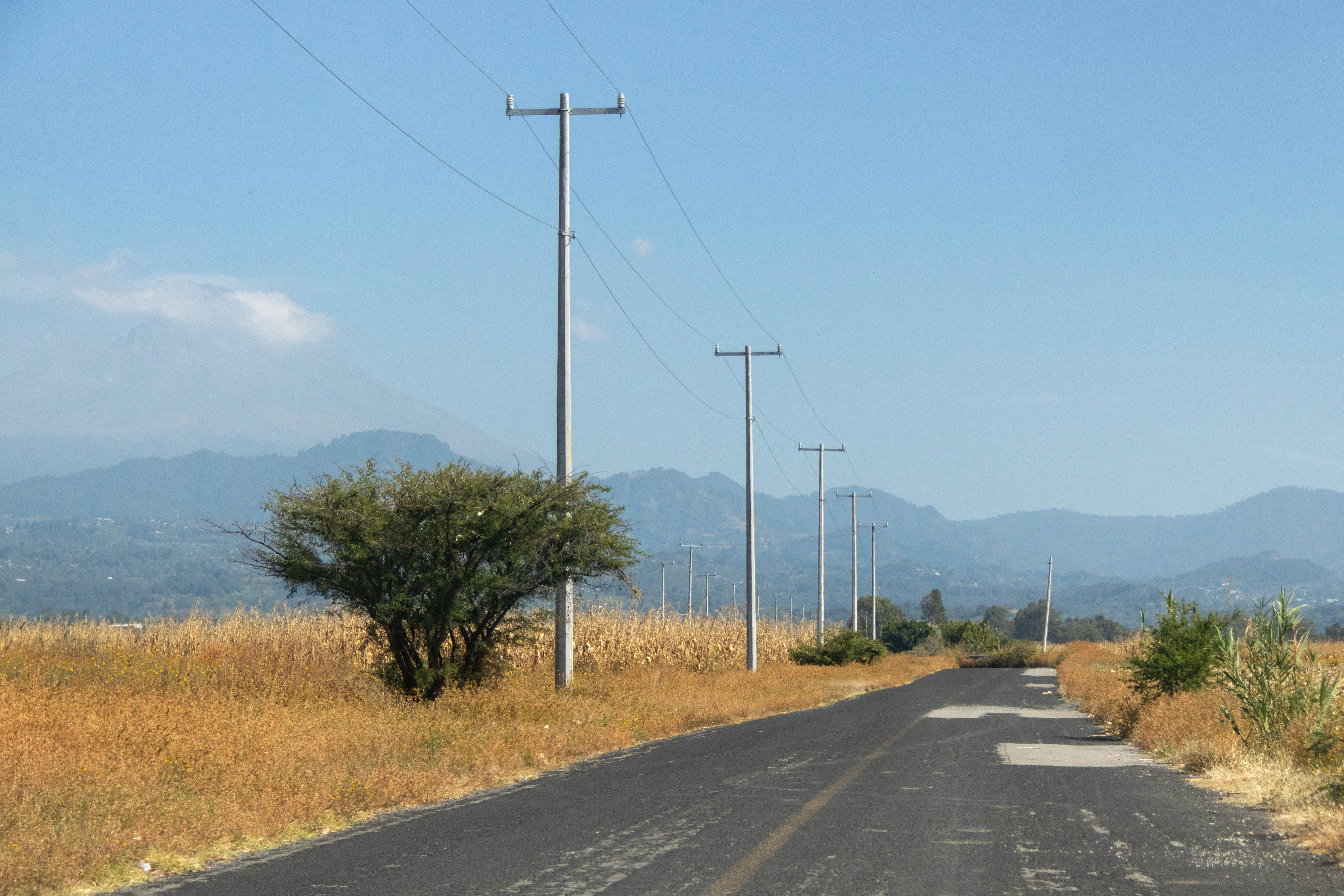 Camino a Ejido Cruz de Lima