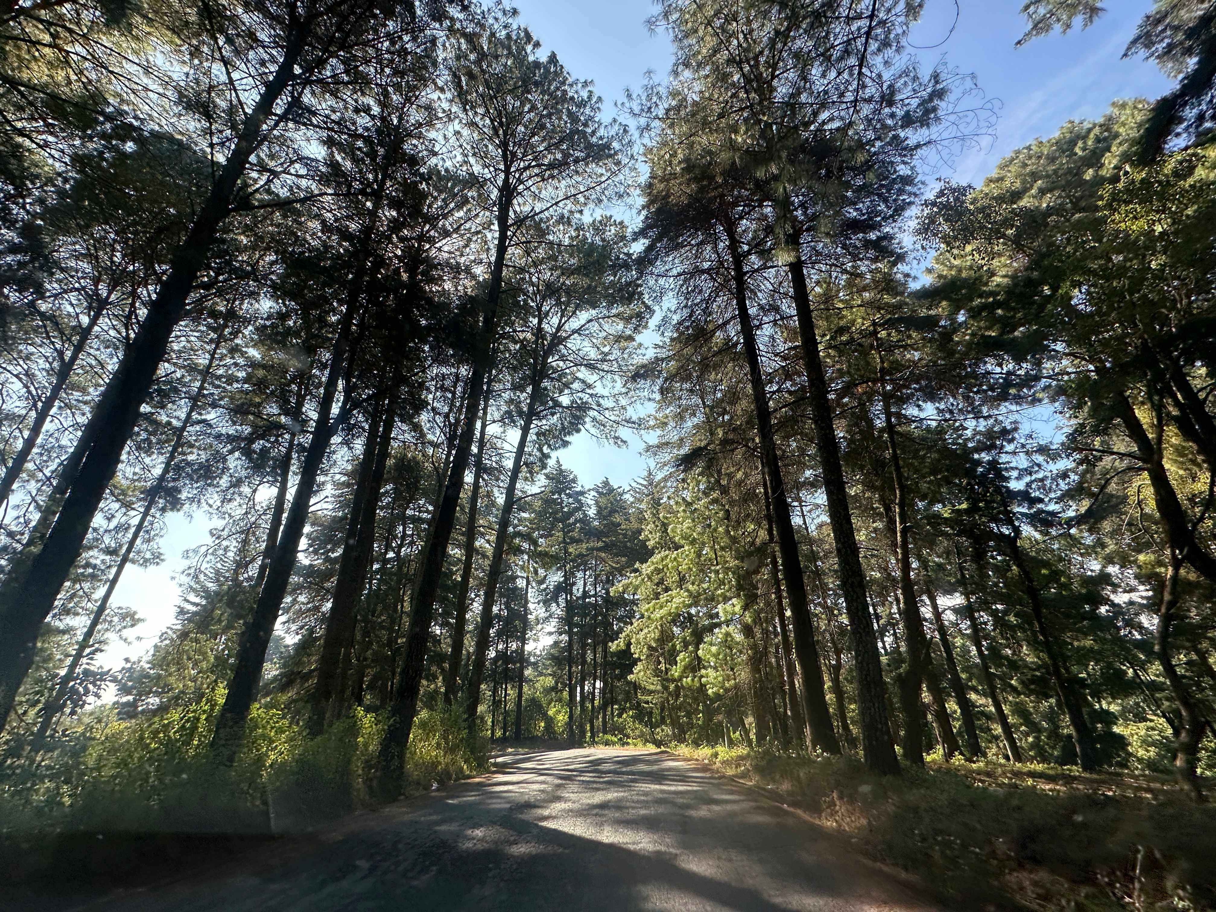Carretera Camino San Miguel