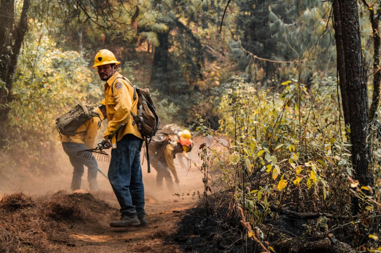 Informa SDS sobre trabajos de sofocación de incendio forestal en Tlanepantla Informa SDS sobre trabajos de sofocación de incendio forestal en Tlanepantla