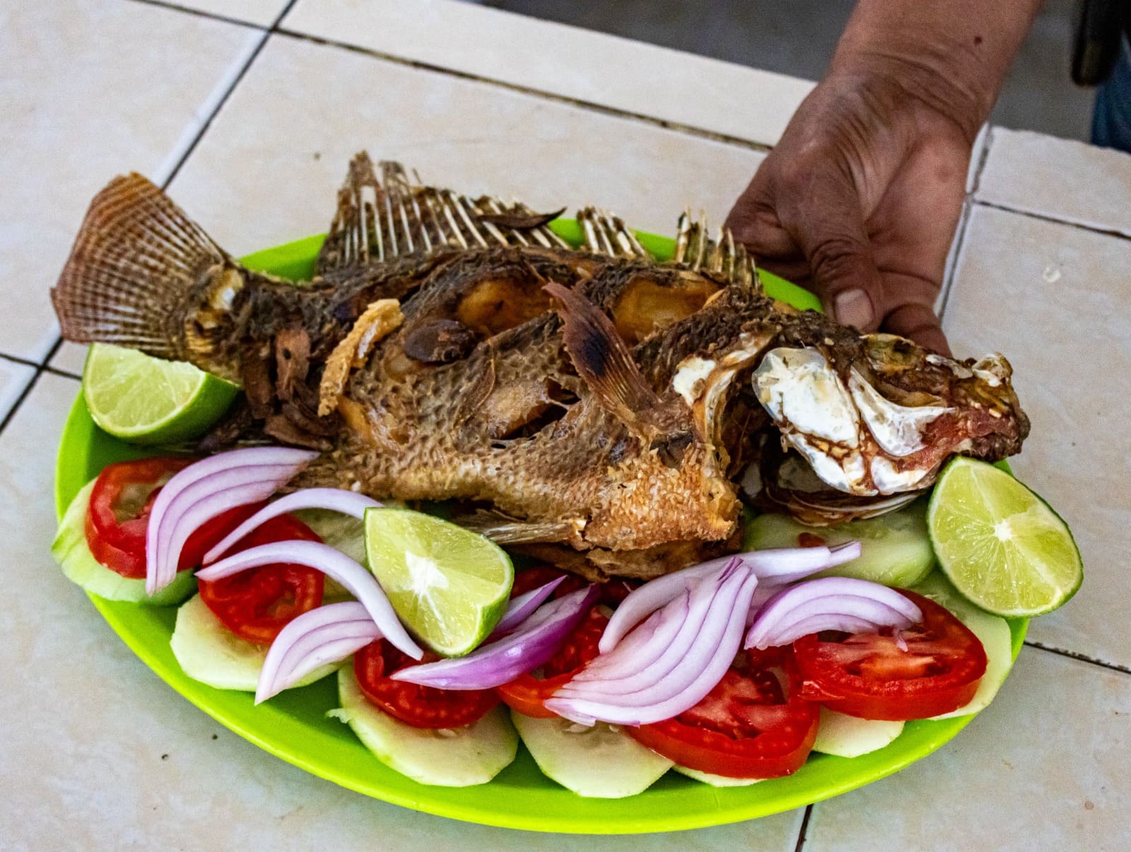 Invita Sedagro a consumir mojarra tilapia morelense y fortalecer la economía del campo