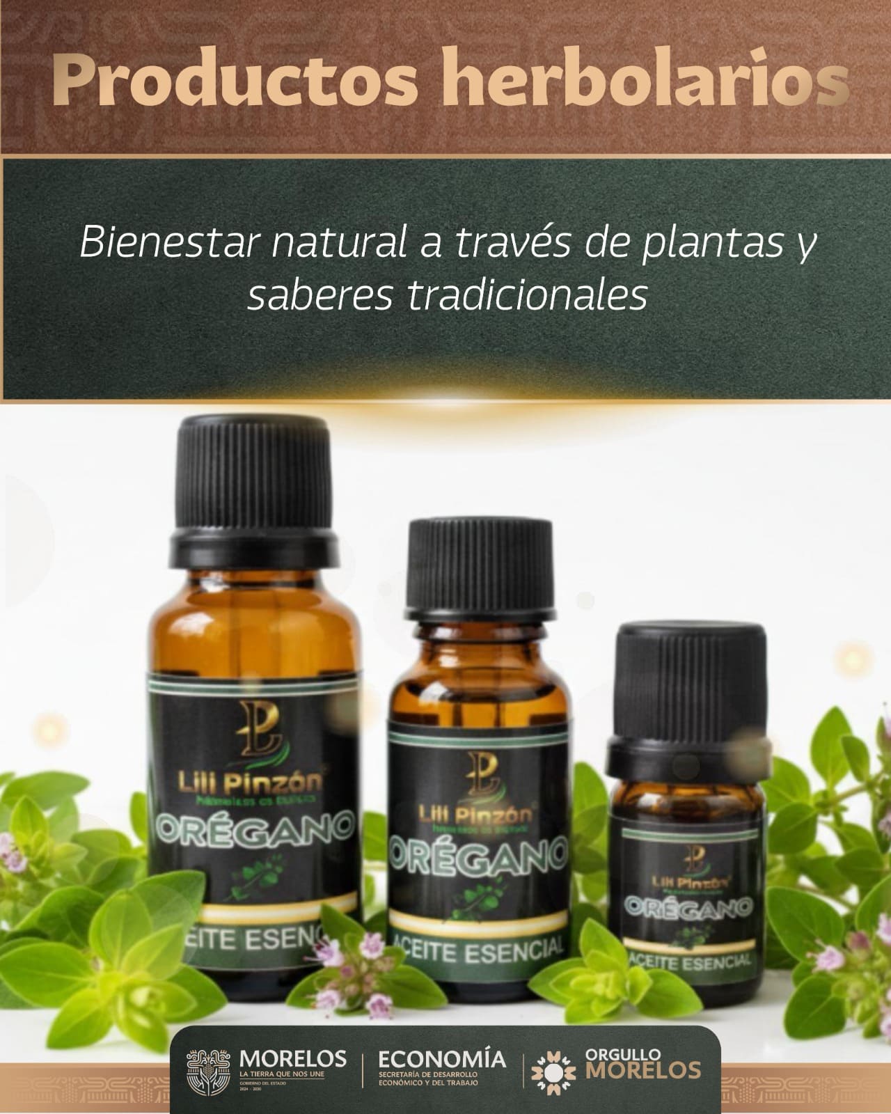 Participará Orgullo Morelos expo venta de La Primavera 2026 en Cuautla