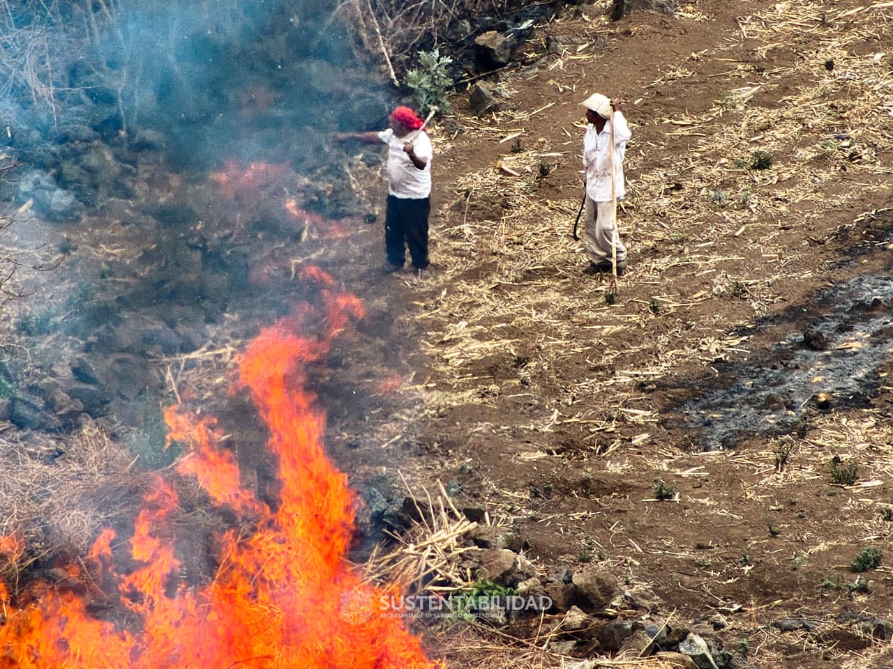 Detienen en flagrancia a dos presuntos responsables de provocar incendio en Tepoztlán