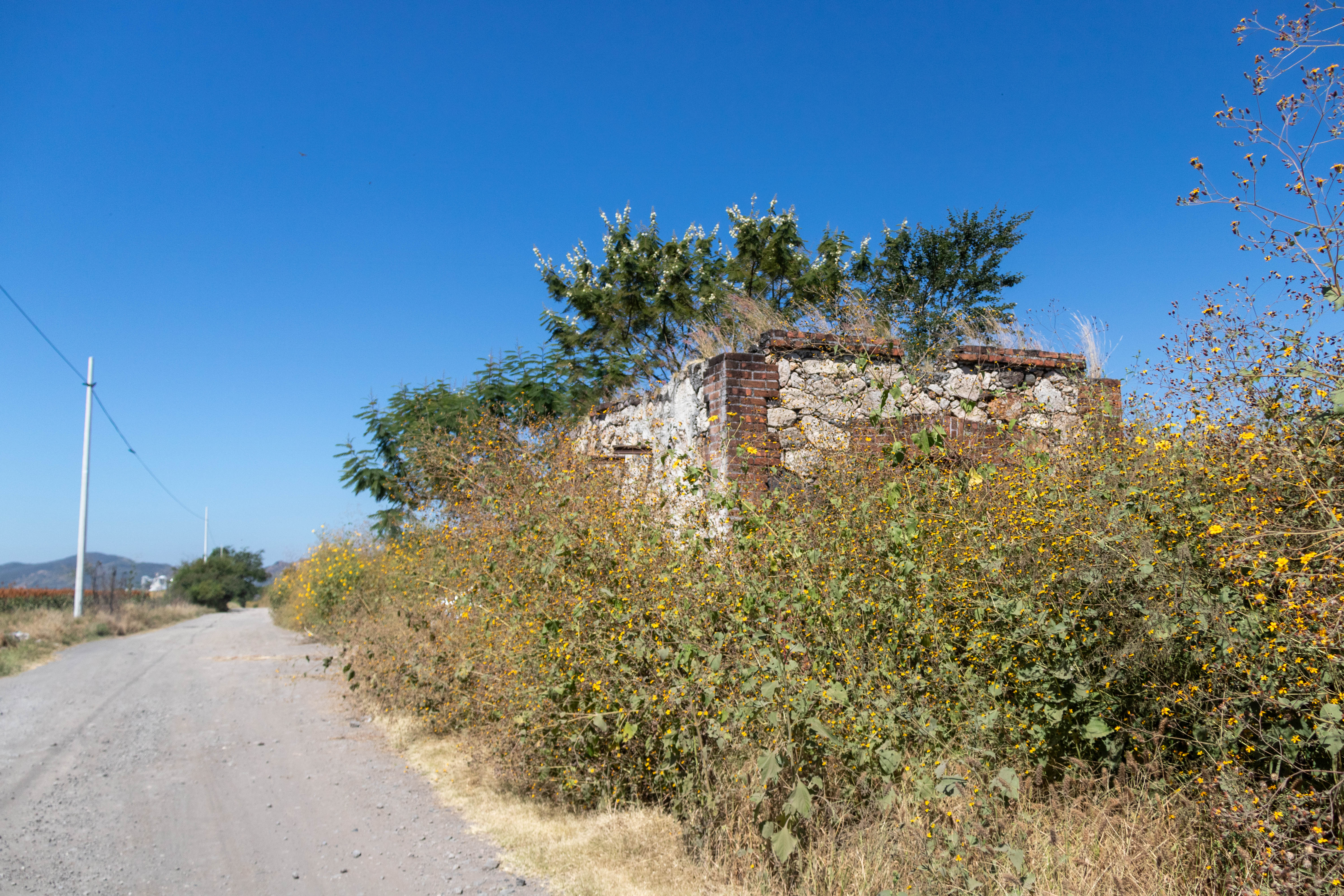 Estación de Ferrocarril