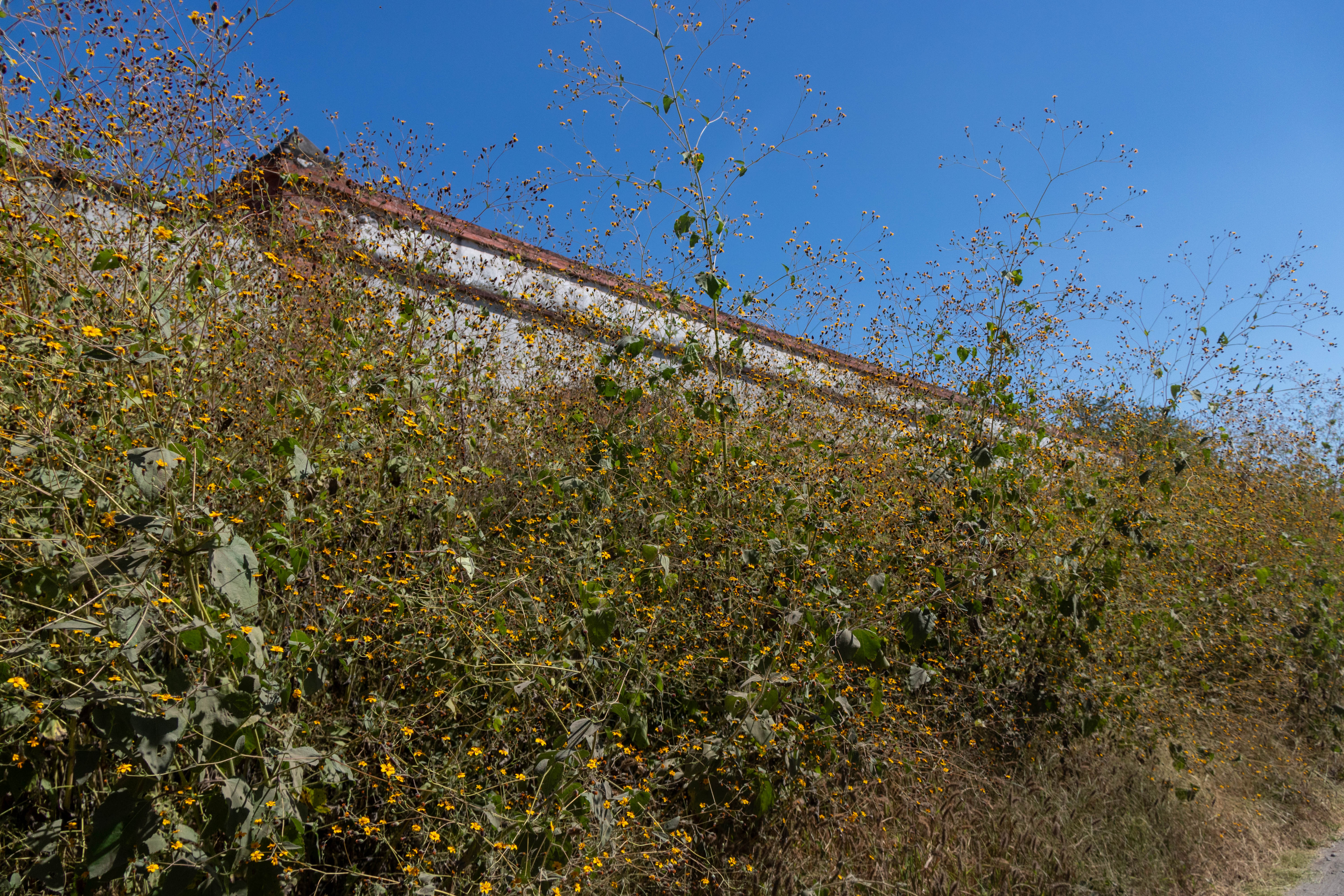 Estación de Ferrocarril