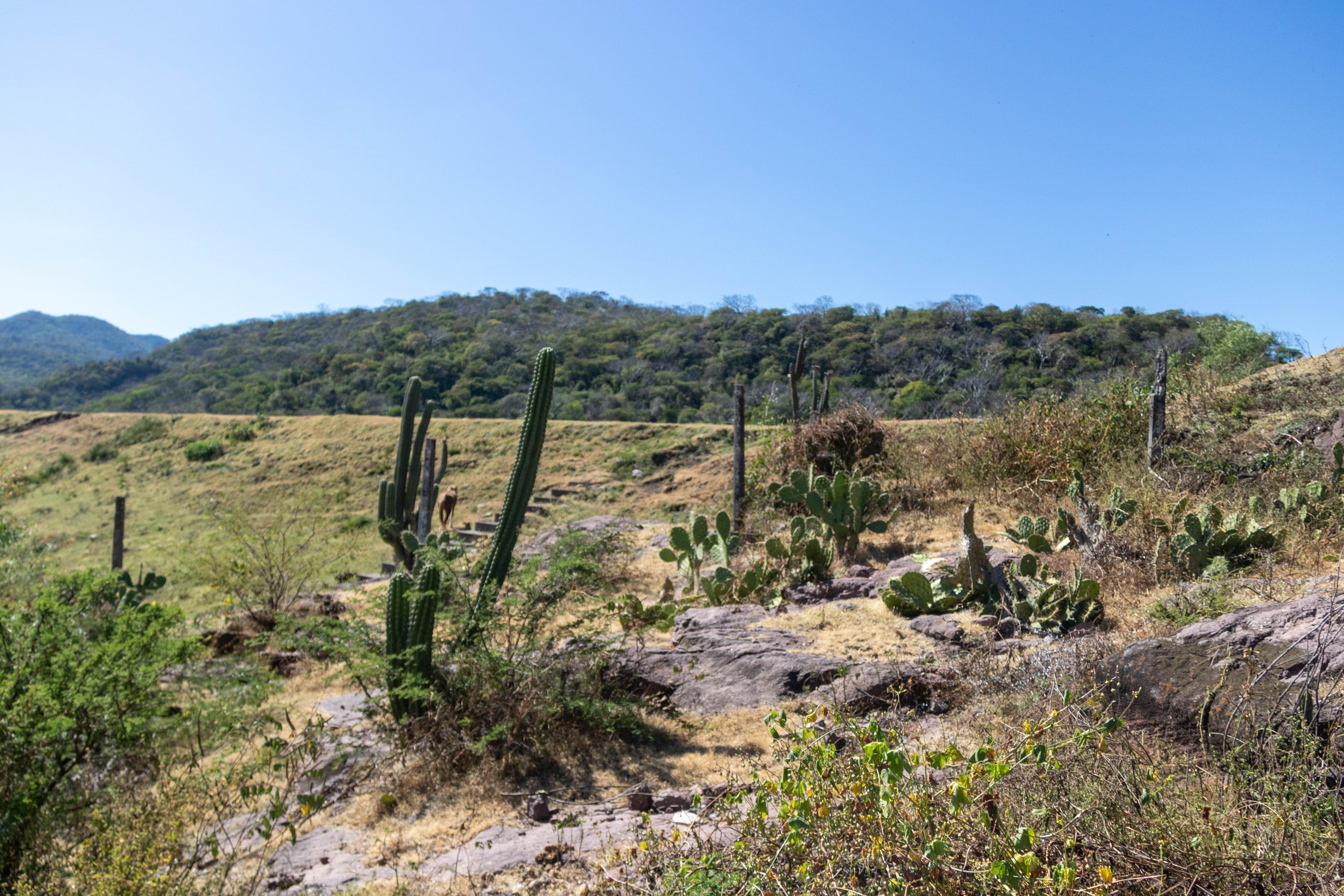 Paisaje Presa Ixtlico El Chico