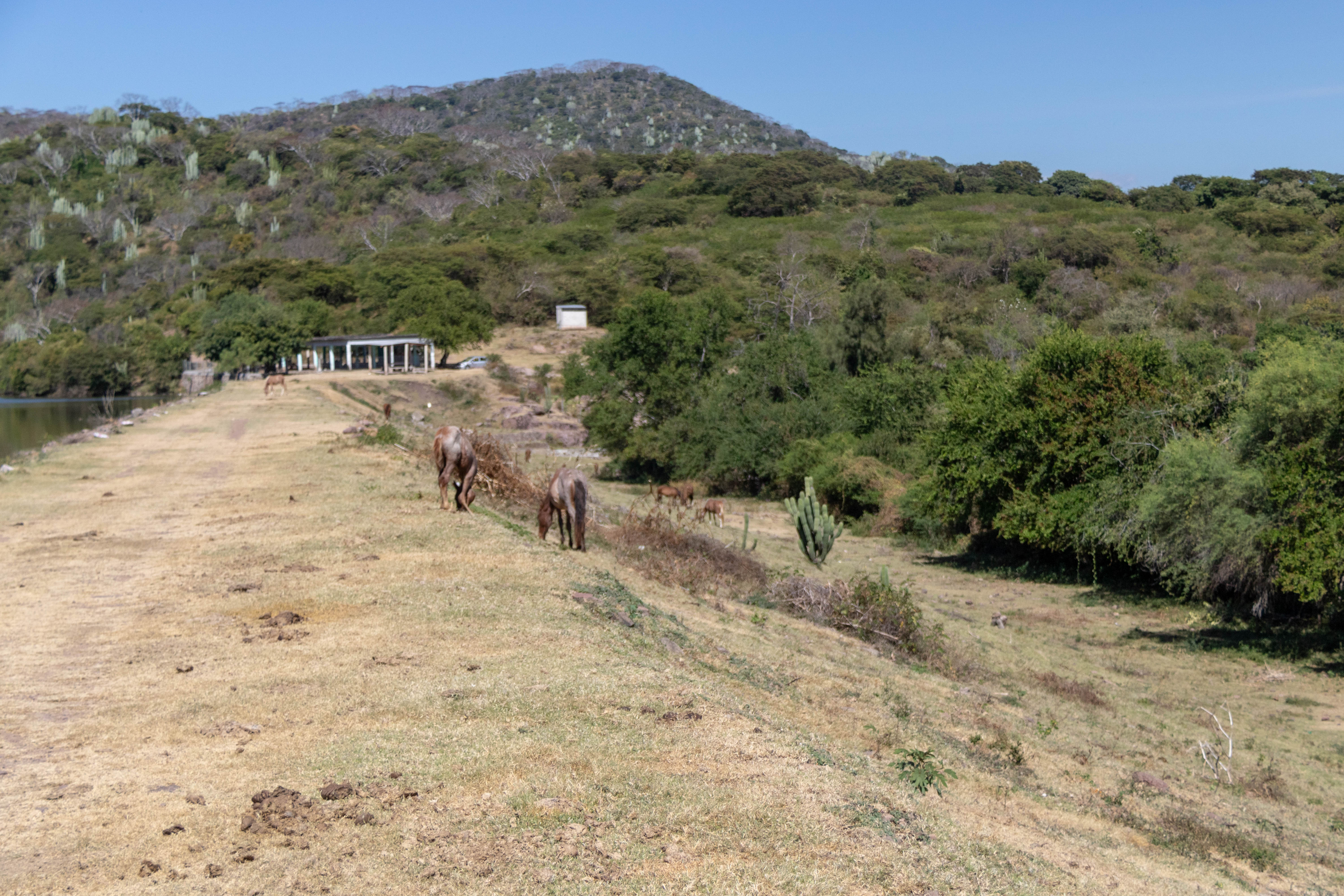 Paisaje Presa Ixtlico El Chico