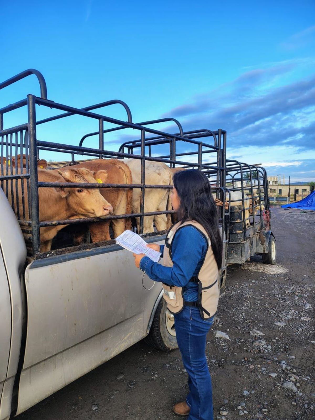 Fortalece Morelos vigilancia sanitaria pecuaria con estricto apego a normativa federal