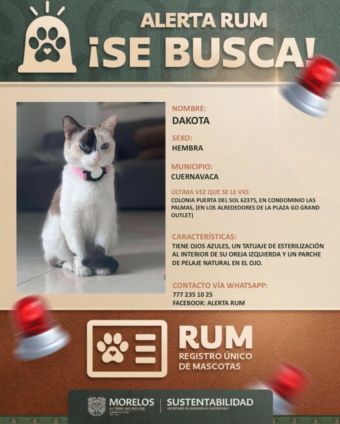 Fortalece Morelos identificación y localización de animales de compañía con Registro Único