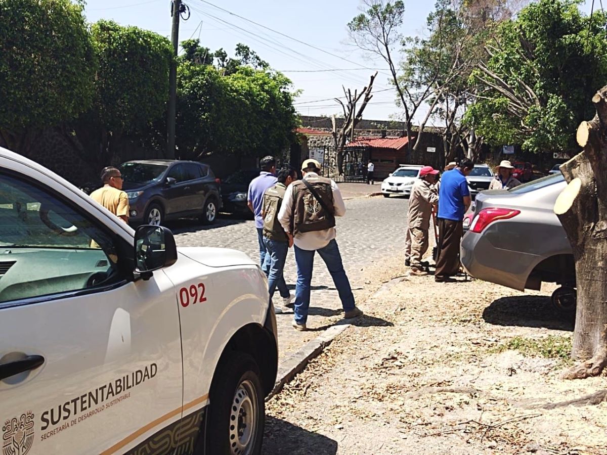  Privilegia Gobierno del Estado el cumplimiento de la normatividad ambiental