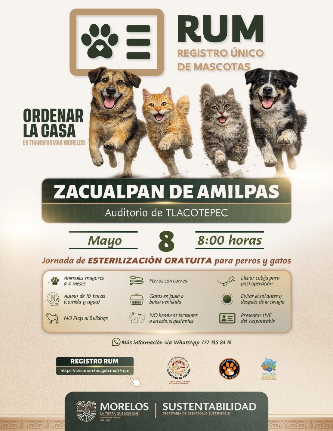 Impulsa SDS jornada de esterilización gratuita para perros y gatos en Zacualpan de Amilpas