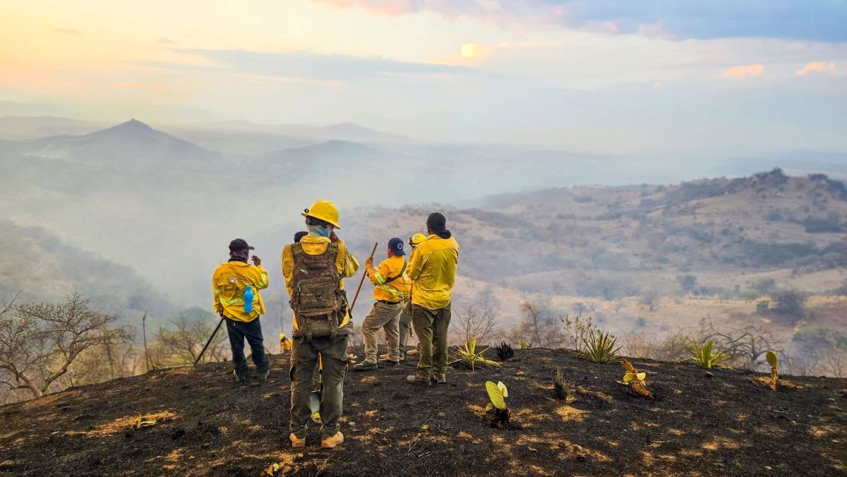 Coordina SDS esfuerzos interinstitucionales para combatir incendio en Amacuzac