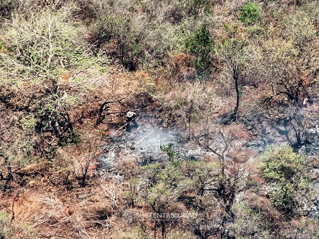 Detectan drones de la SDS en Tepoztlán otra quema ilegal en Área Natural Protegida