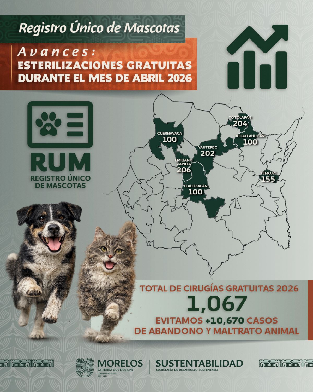 Avanza Morelos en prevención del abandono y maltrato animal con más de mil esterilizaciones gratuitas