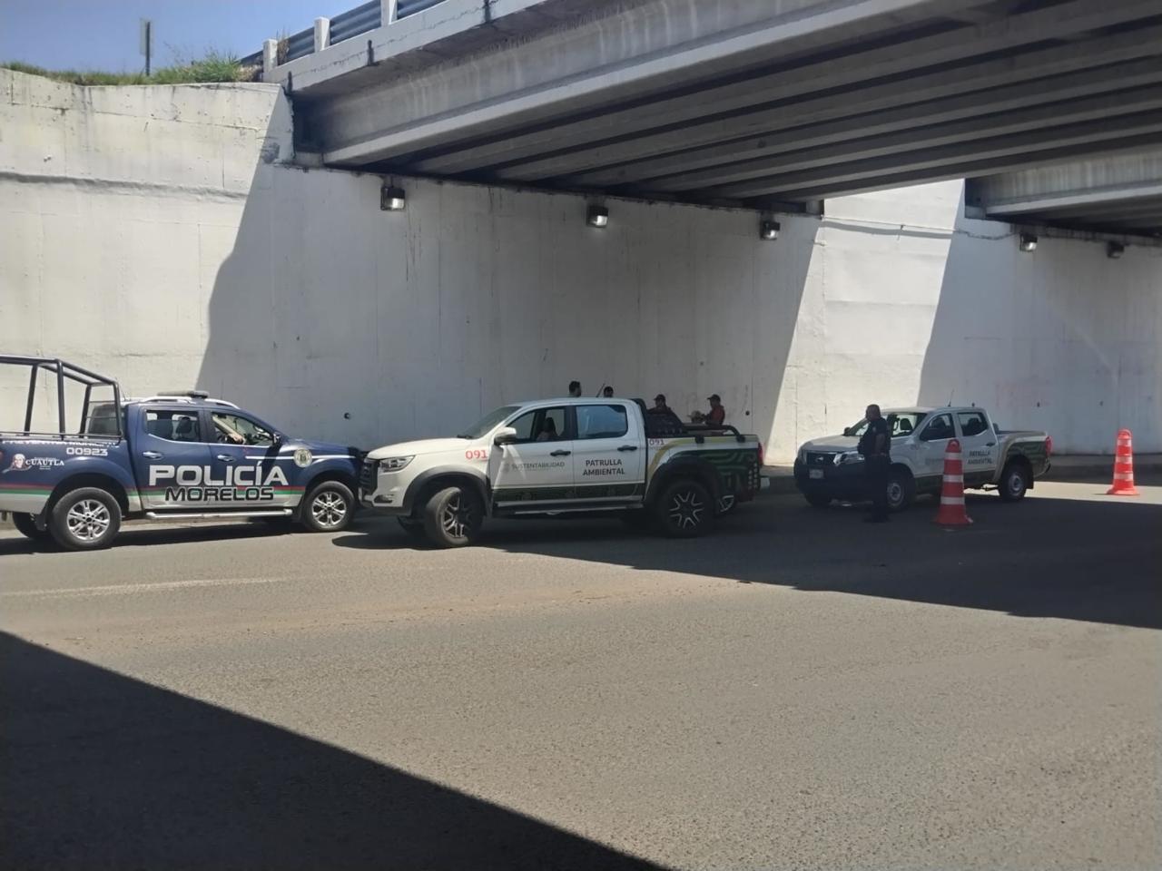 Refuerza Gobierno de Morelos acciones contra la venta ilegal de animales en vía pública