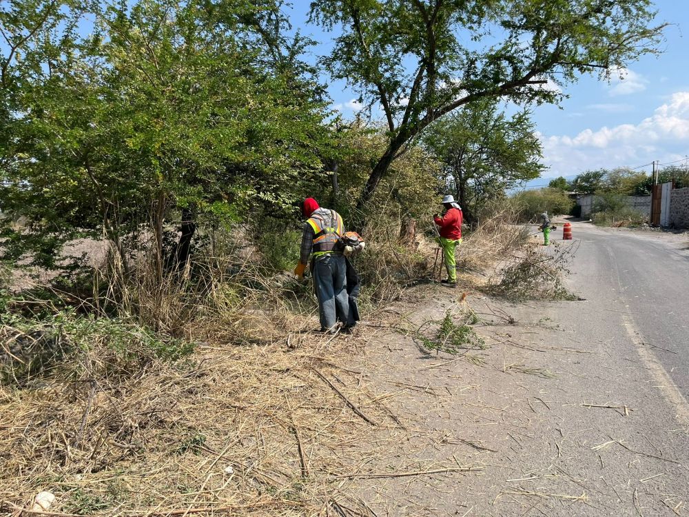 Inician trabajos preliminares para rehabilitar libramiento Hornos Cuates–Tequesquitengo en Jojutla