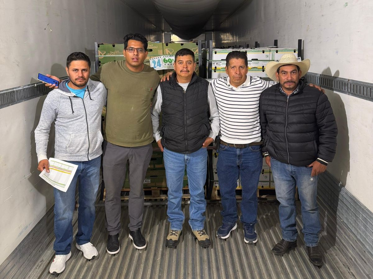 Consolida Morelos presencia del aguacate morelense en Canadá con segundo embarque