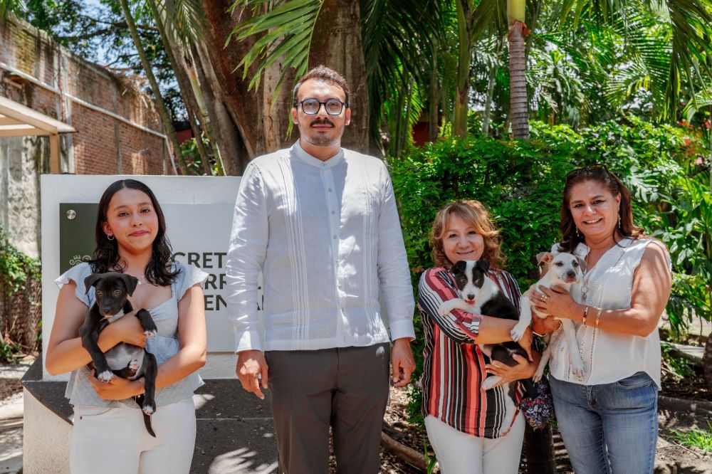 Garantiza Gobierno de Morelos nuevo hogar a perritas rescatadas de situación de maltrato animal