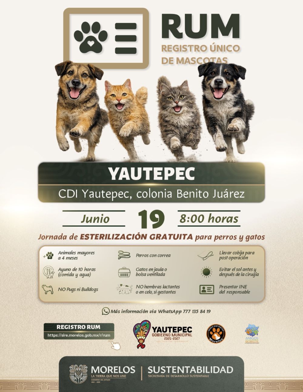 Ofrece Gobierno de Morelos esterilizaciones gratuitas de perros y gatos en Yautepec