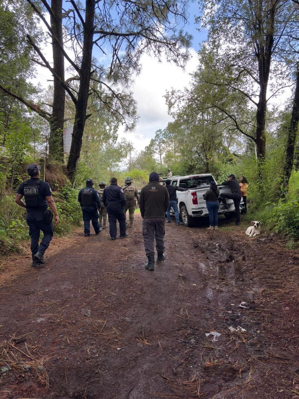 Realiza la Comisión de Búsqueda de Personas acciones en campo forense y labores de prospección en Morelos y Guerrero