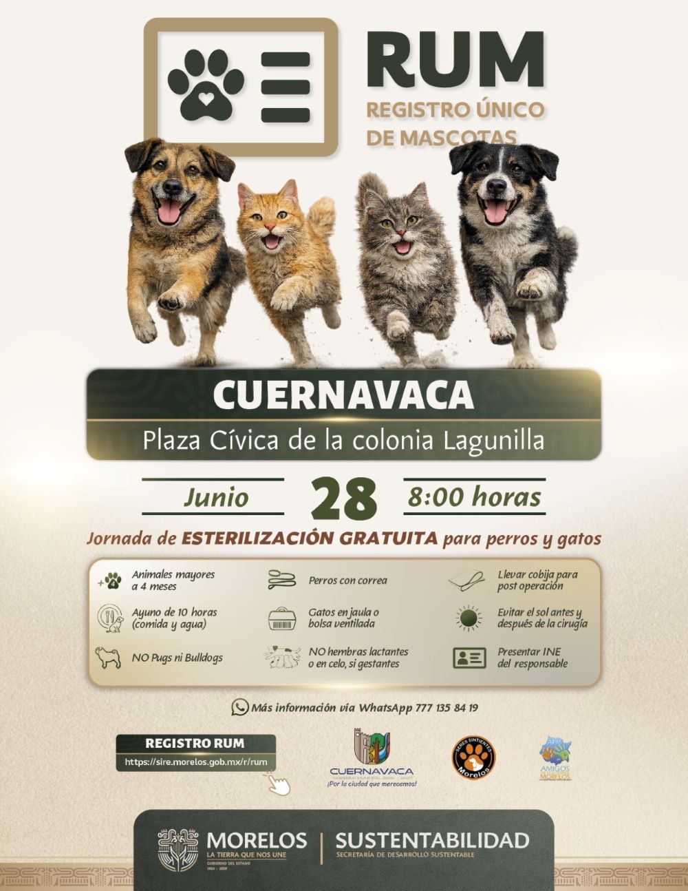Realizará Gobierno de Morelos jornada gratuita de esterilización para perros y gatos en la colonia Lagunilla de Cuernavaca