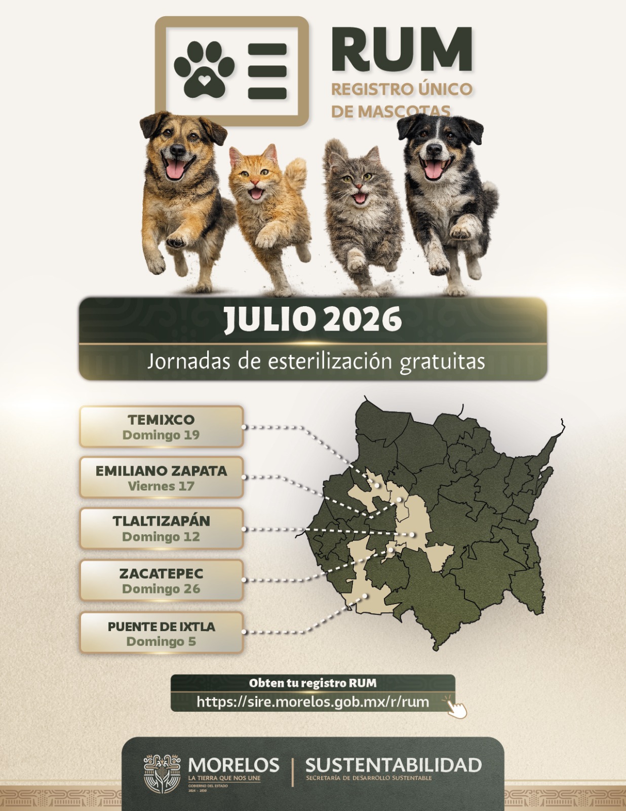Continúa SDS esterilizaciones gratuitas para perros y gatos