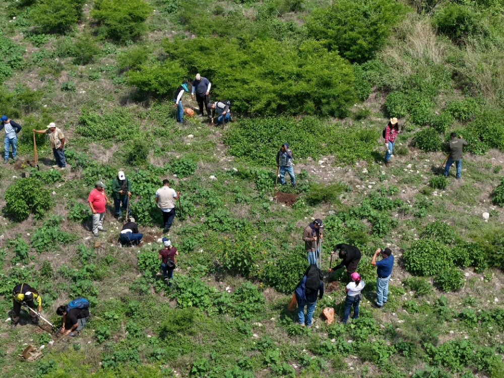 Impulsa Morelos turismo sustentable con jornada de reforestación en Tlaltizapán