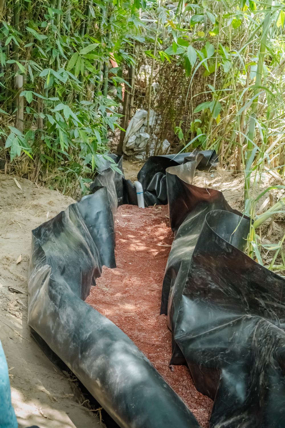 Avanza 75 por ciento la instalación de biodigestores en rescate del río cuautla