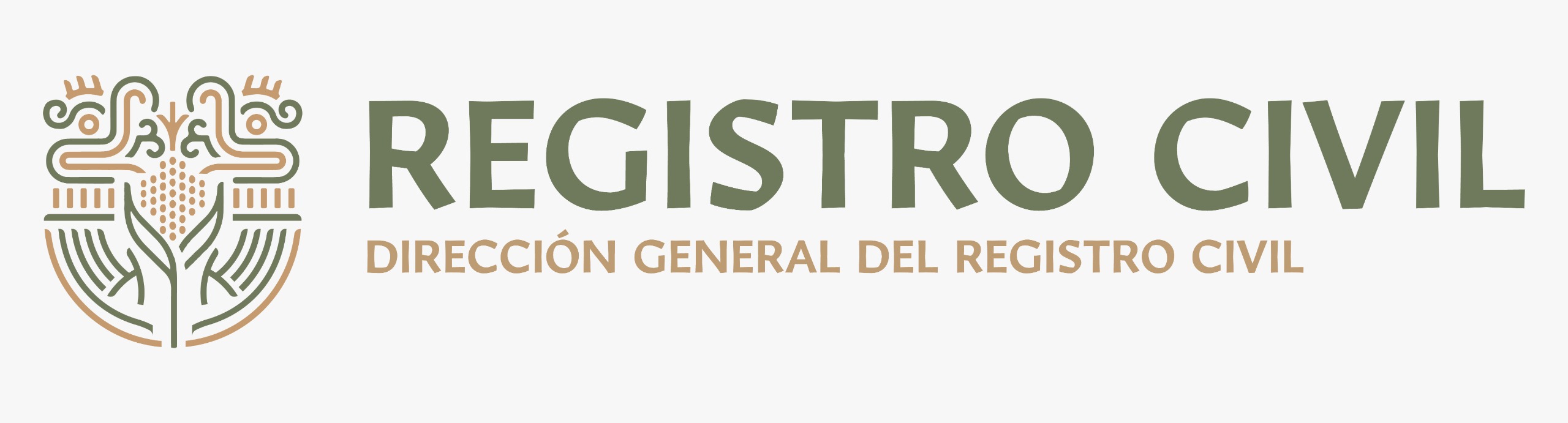 Entrega Registro Civil acta de nacimiento a mujer de 101 años en Temixco