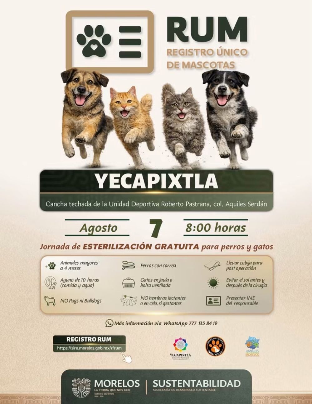 Impulsa Gobierno de Morelos jornadas gratuitas de esterilización mediante el registro único de mascotas